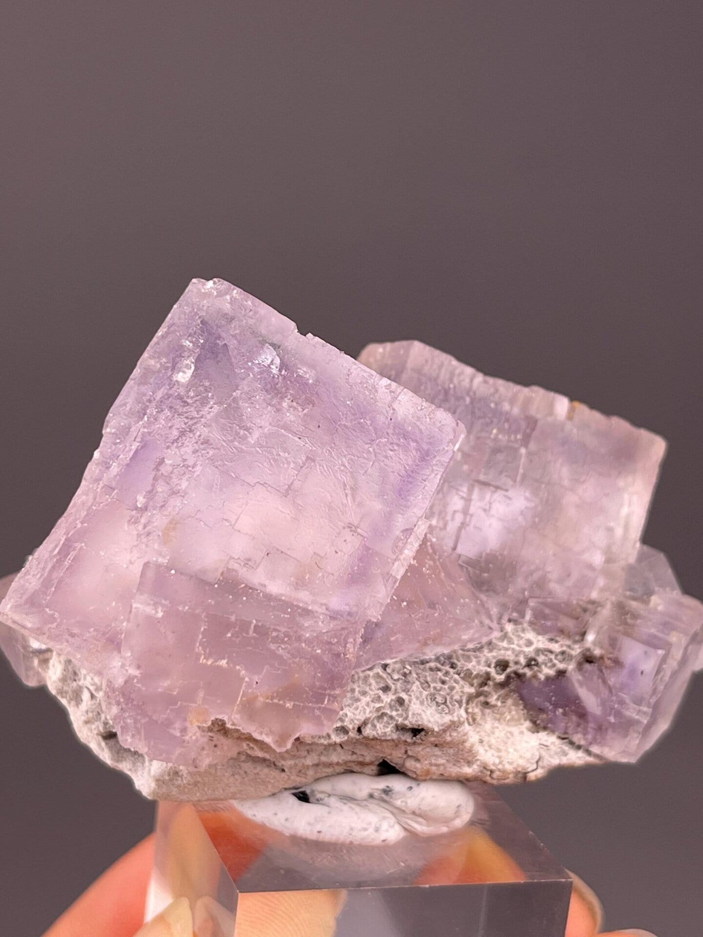 Lavender-purple cubic fluorite crystals close-up