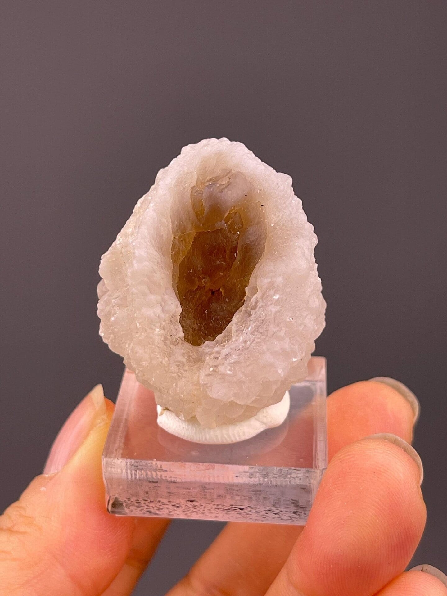 Close-up of druzy quartz crystals inside agate geode