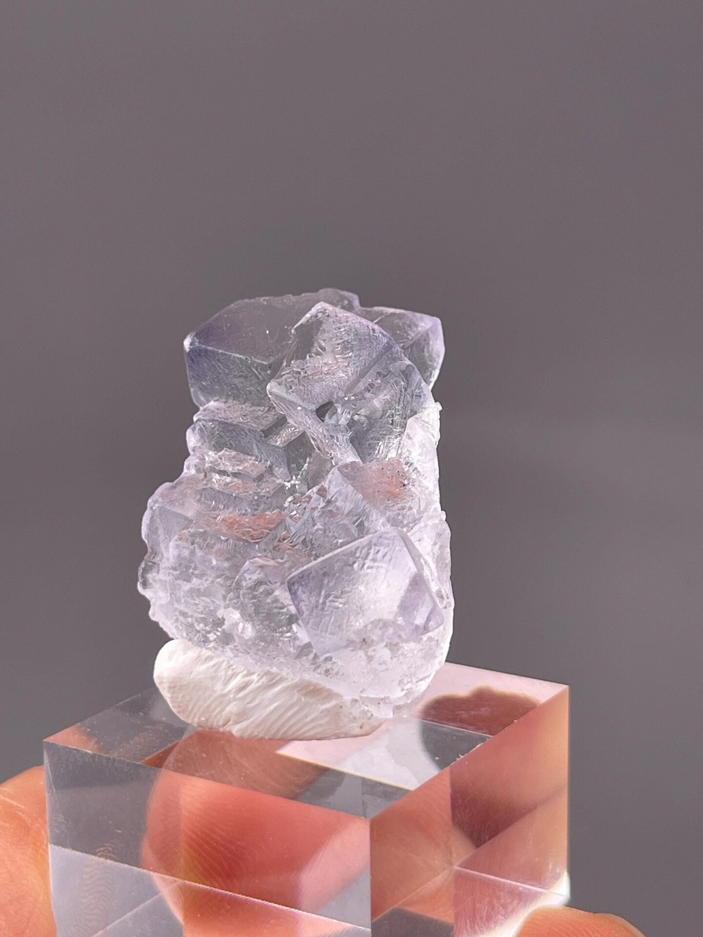 Top view showing dissolved surface detail on fluorite
