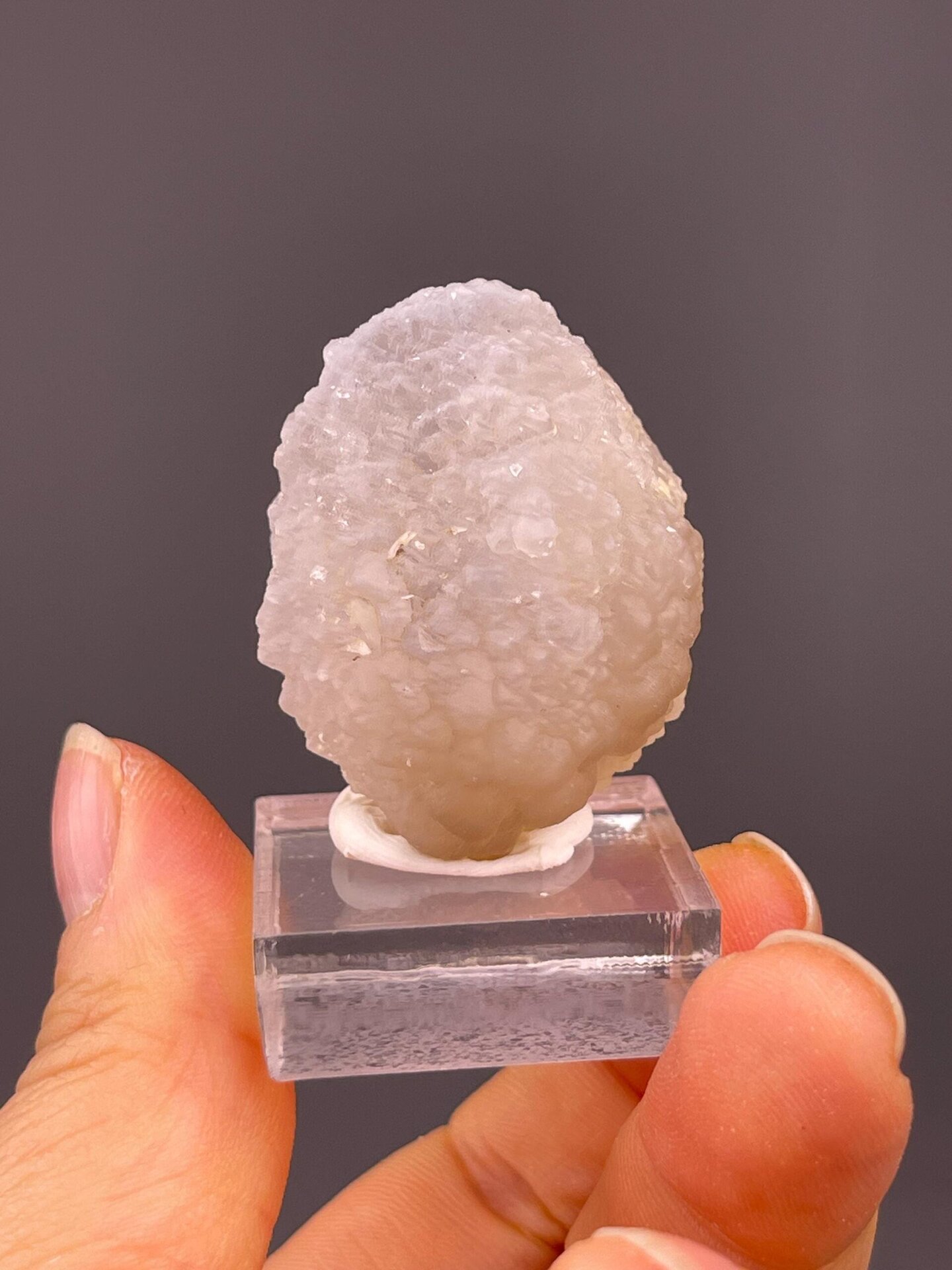 Top view of agate geode showing cavity opening