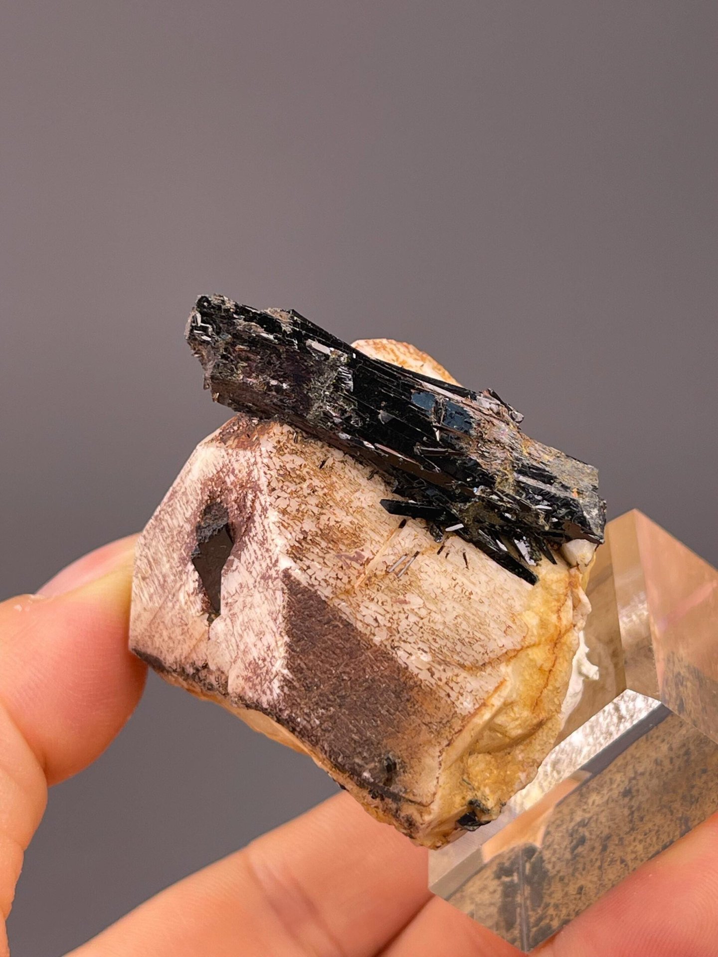Angled view of black tourmaline matrix specimen