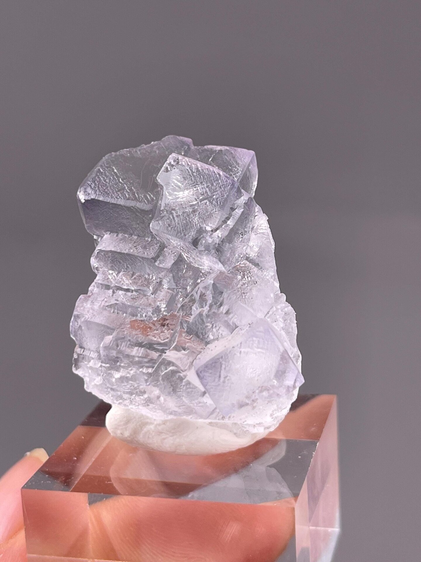 Transparent fluorite with ruler for scale reference