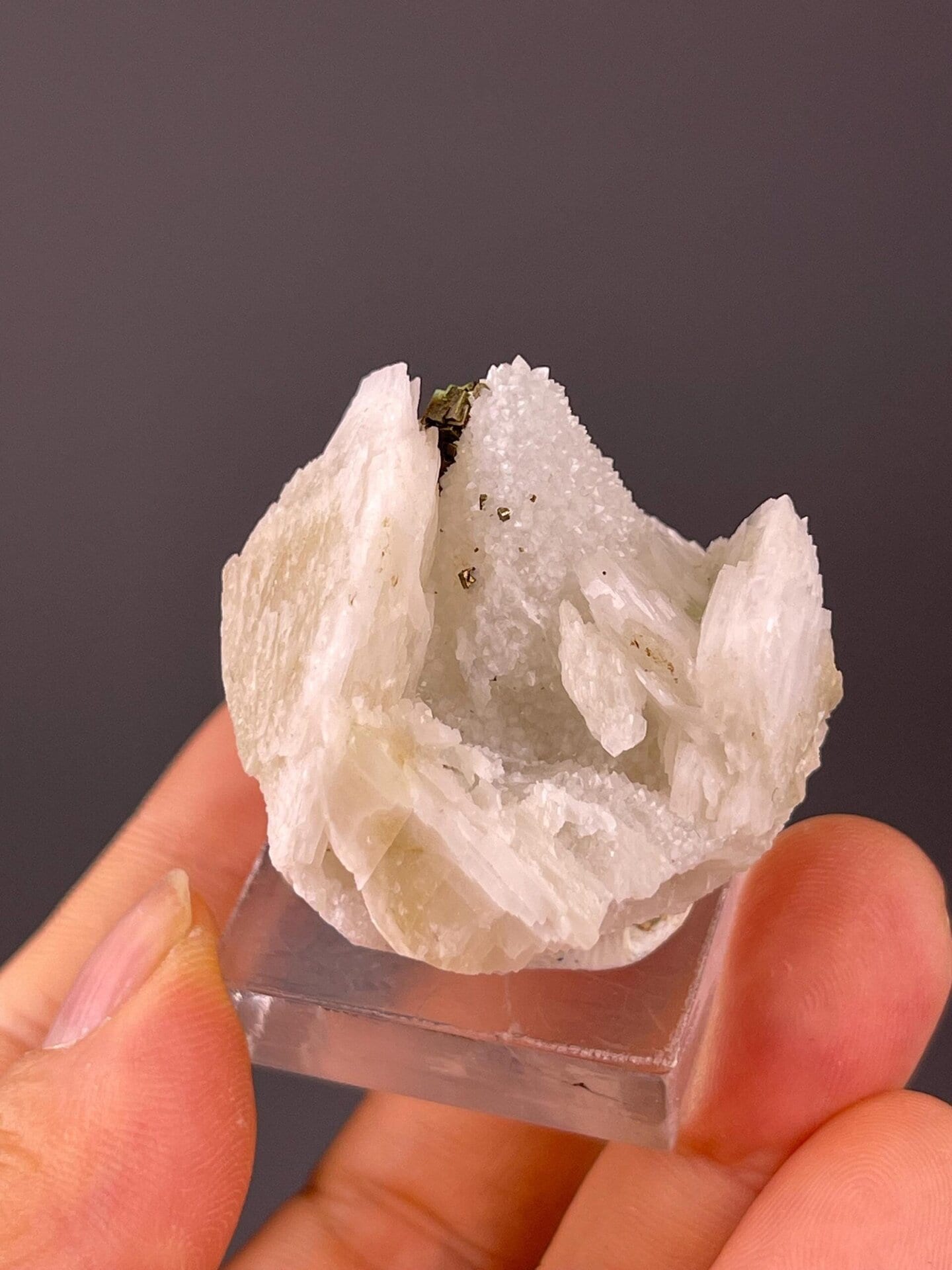 Fluorite quartz base with pyrite crystals