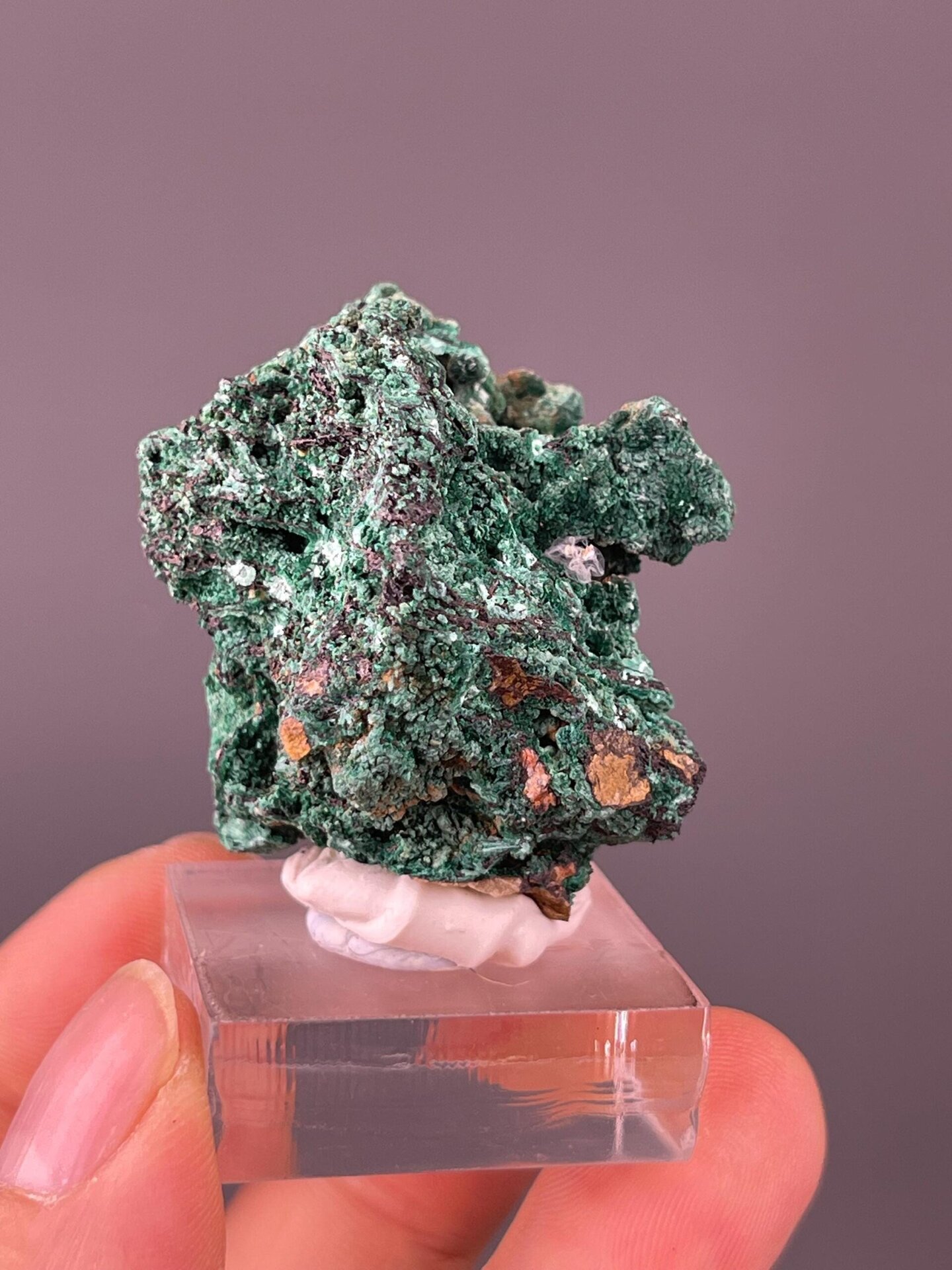 Malachite botryoidal overhead top-down view