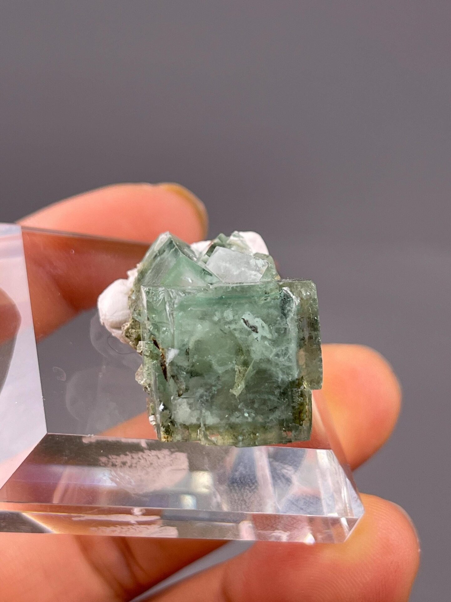 Both fluorite specimens overhead top-down view