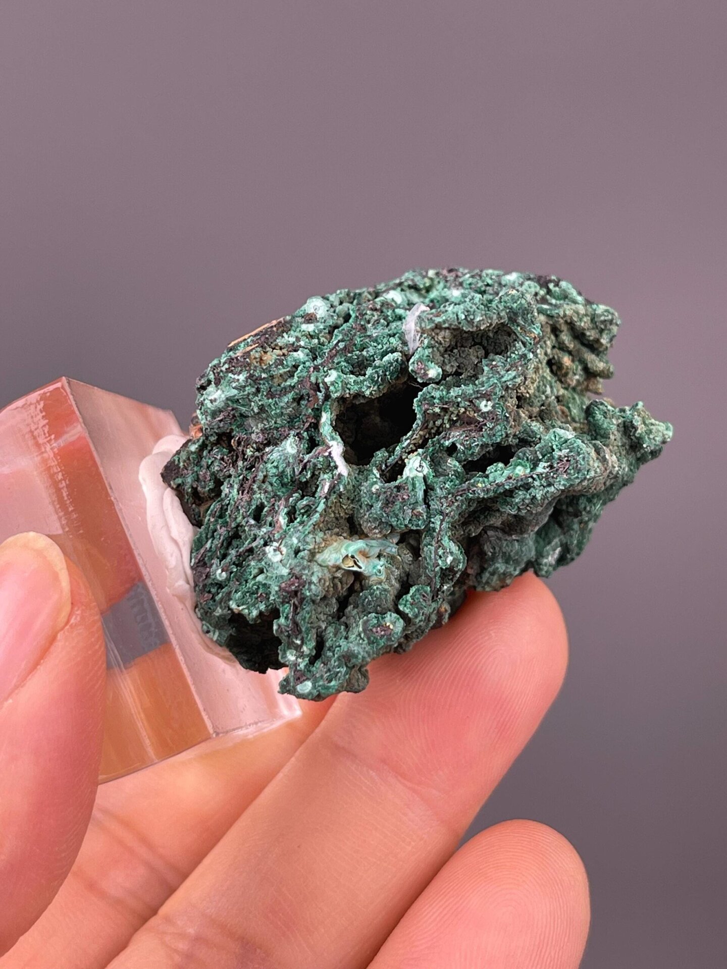 Full malachite botryoidal specimen on white background
