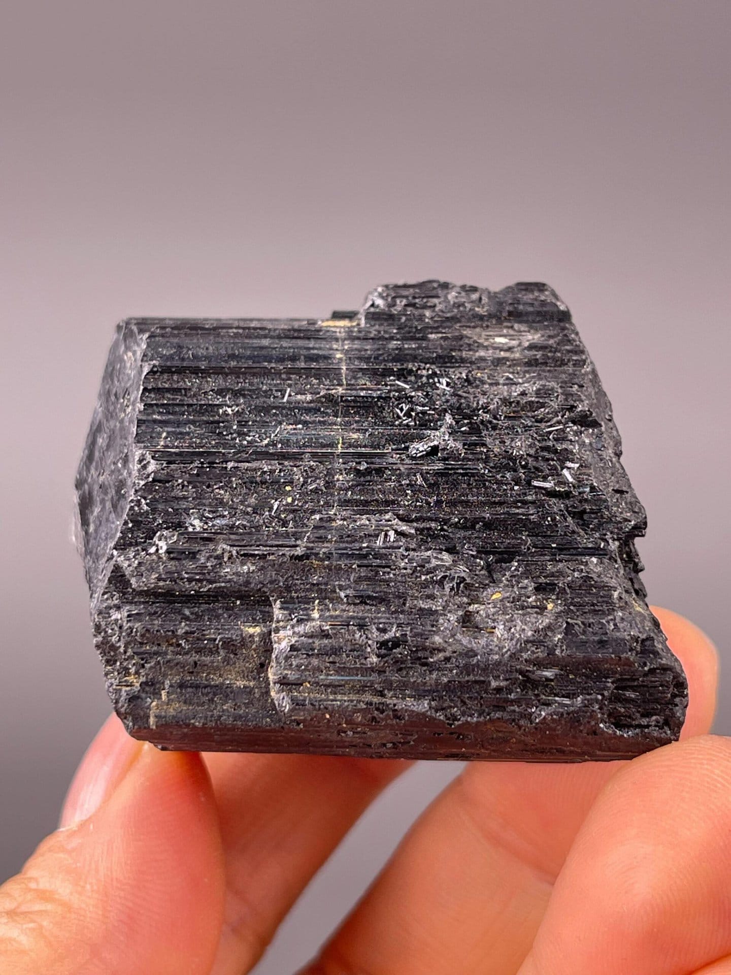 Full black tourmaline specimen on white background