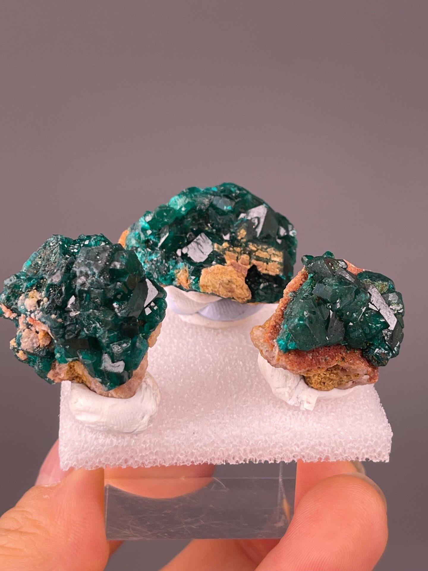 Three dioptase crystal specimens Congo front view