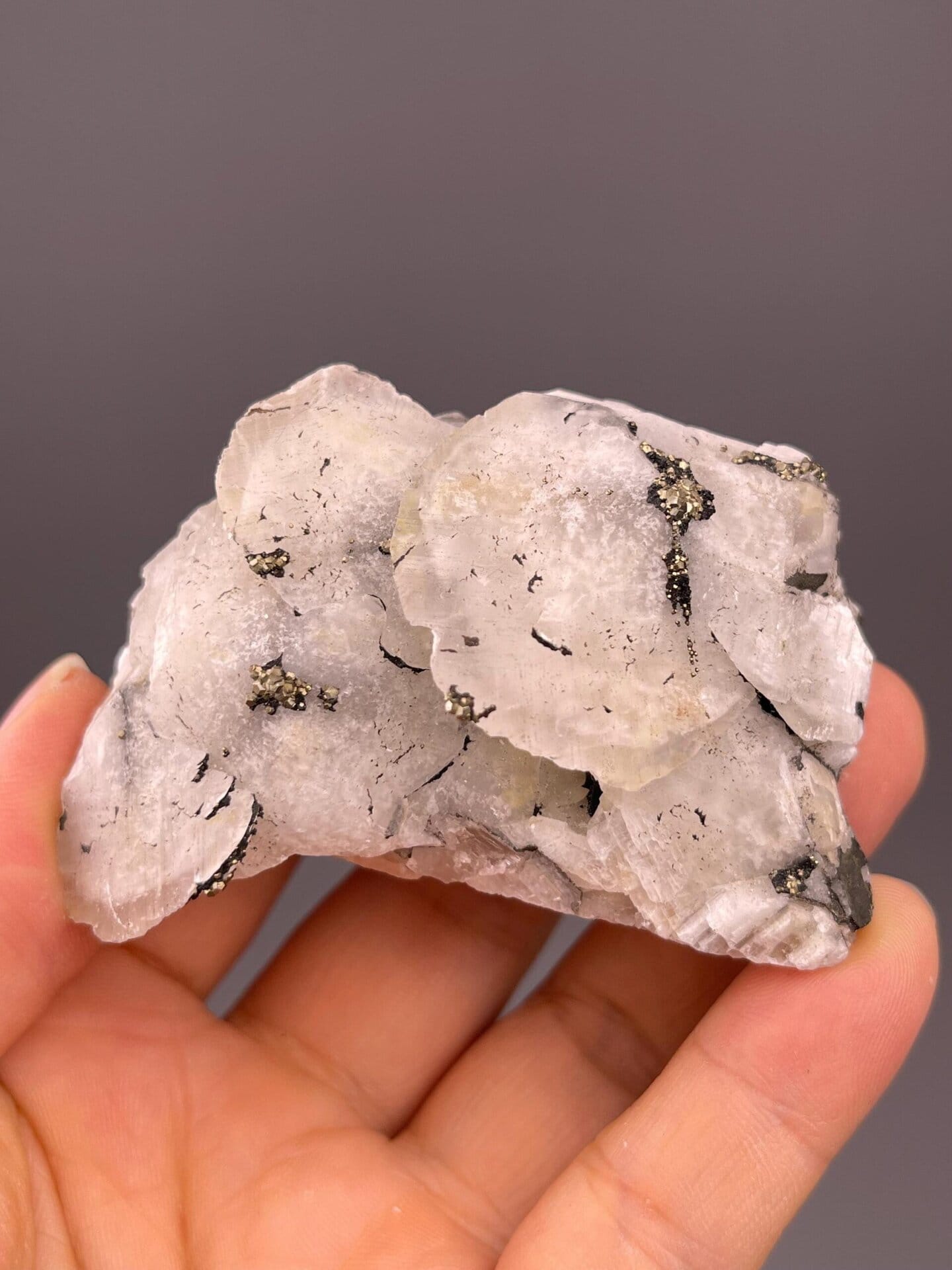 Petal calcite with pyrite Fujian China front view