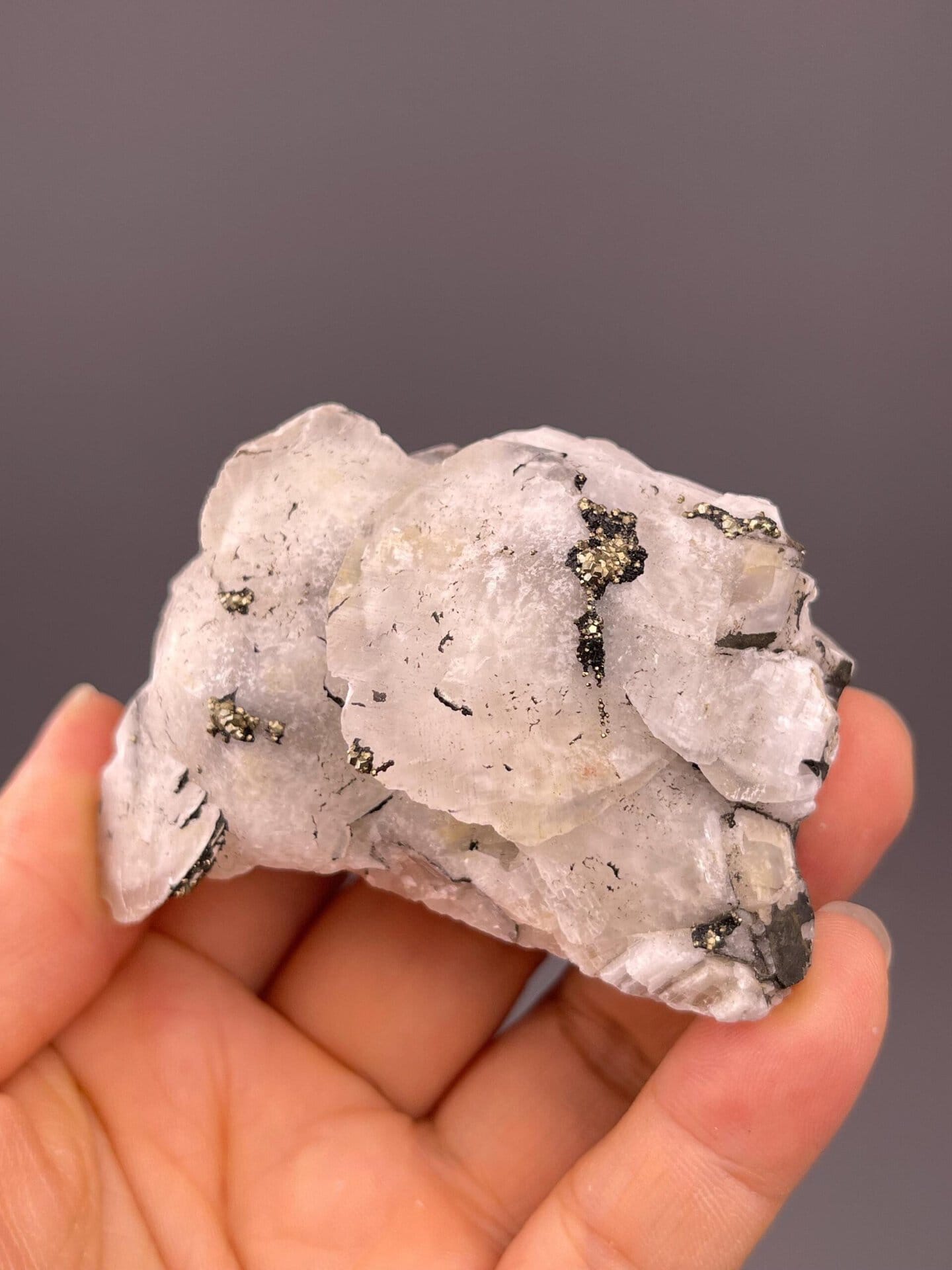 Golden pyrite inclusions in calcite petals detail