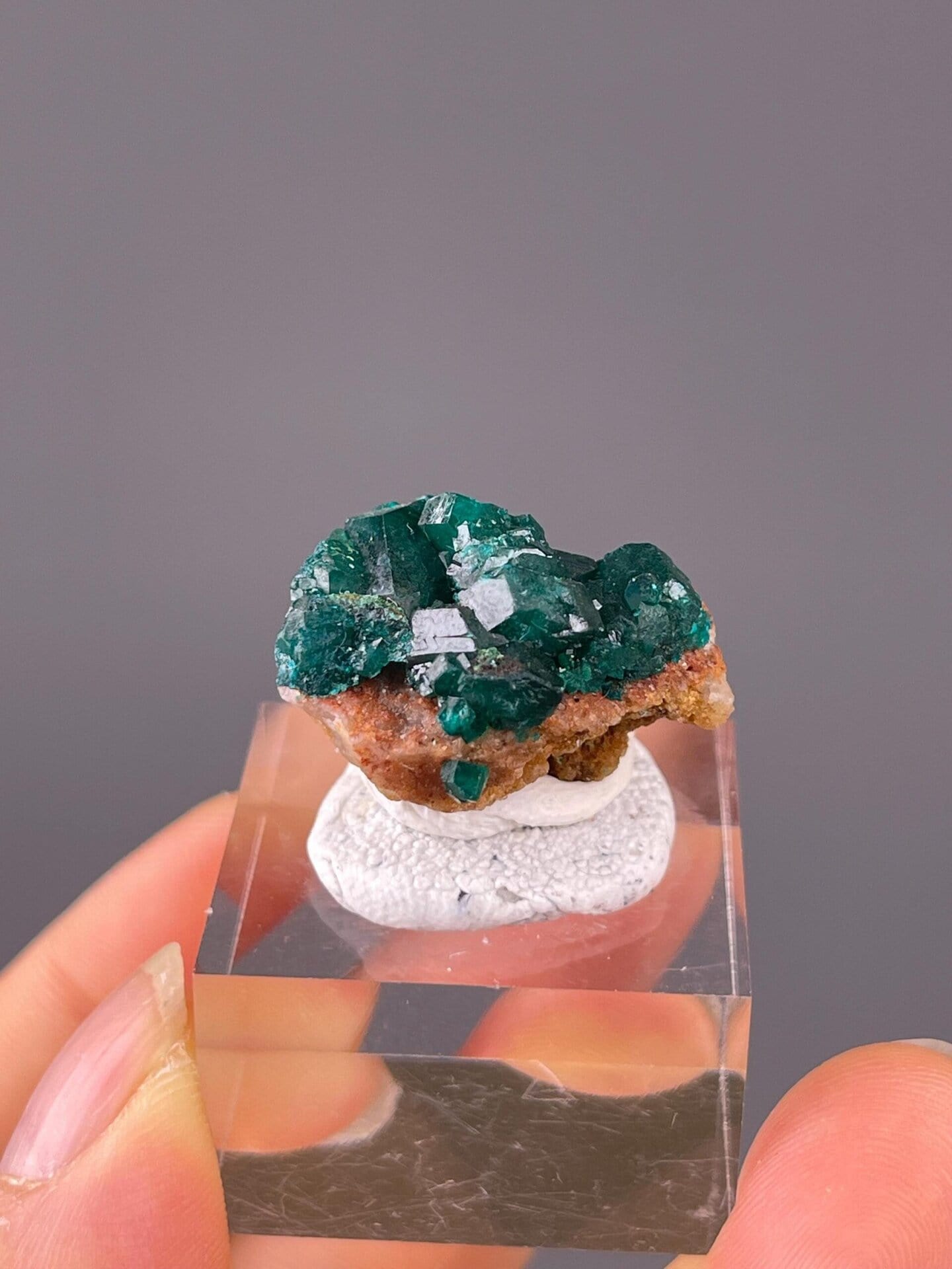 Three dioptase specimens overhead top-down view