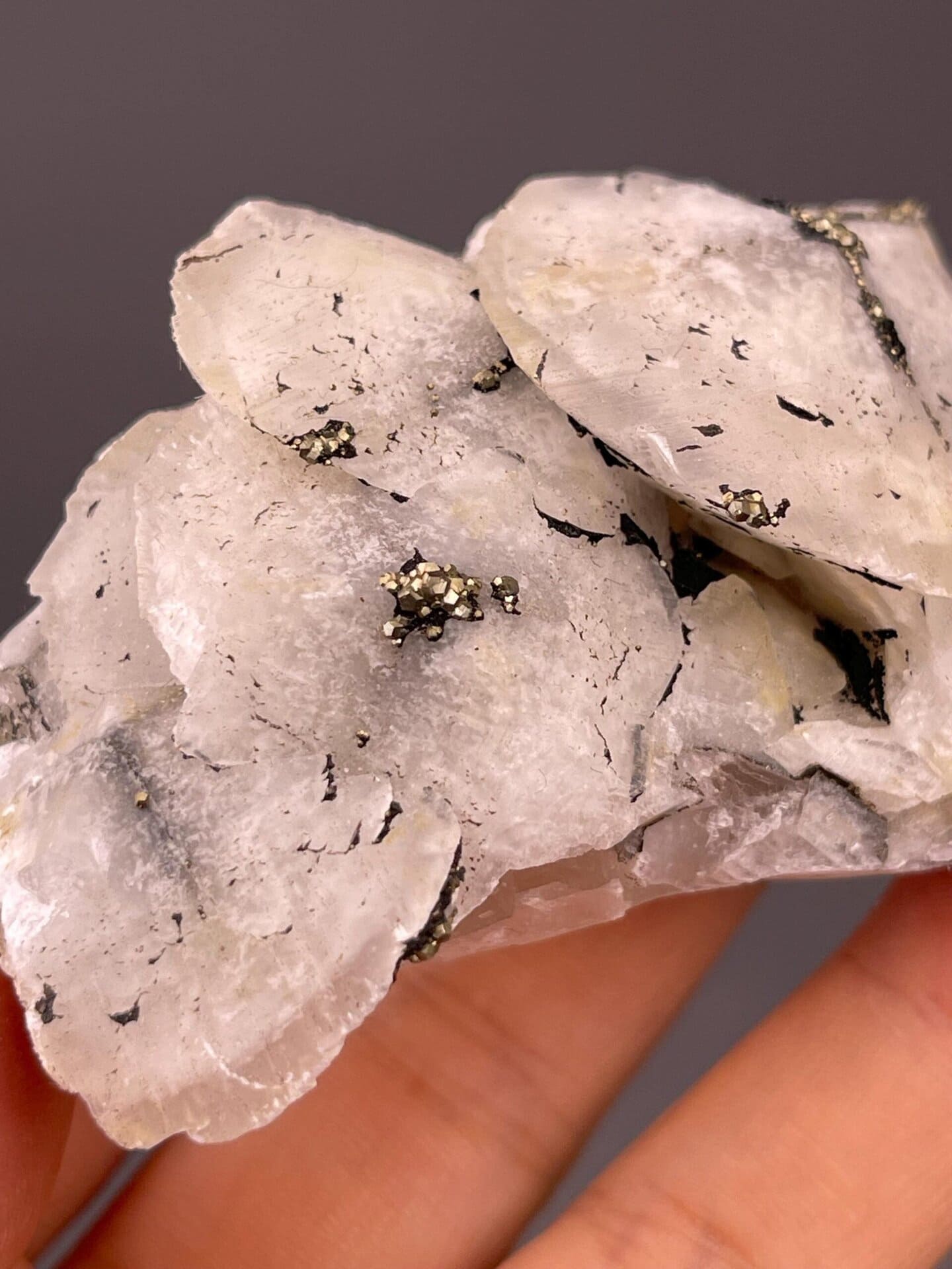 Full petal calcite pyrite specimen on white background