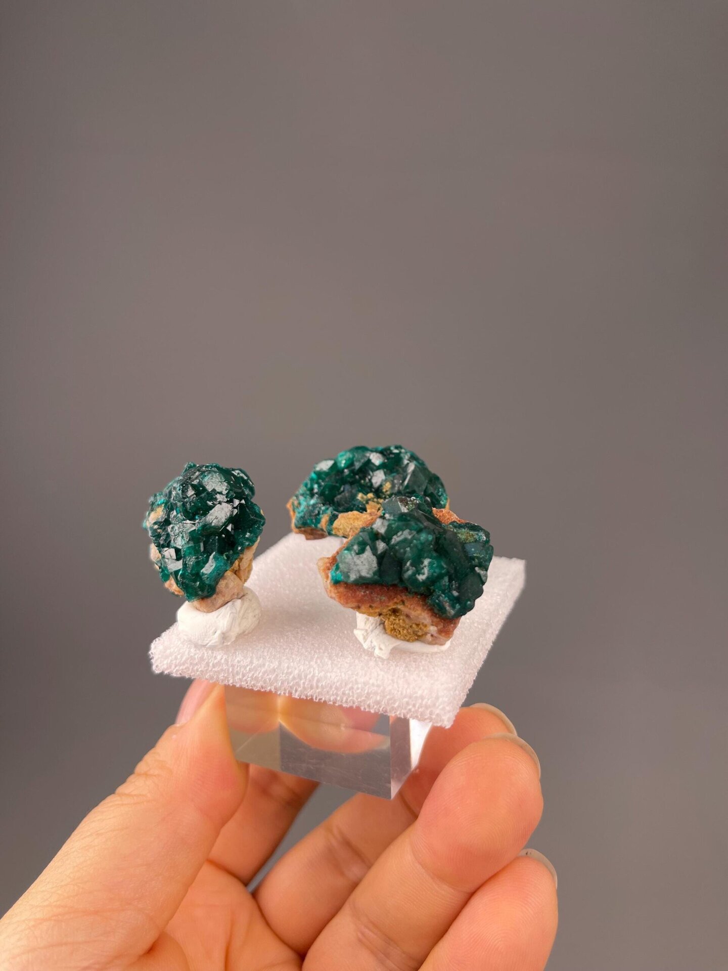 Dioptase Congo three-piece scale reference view