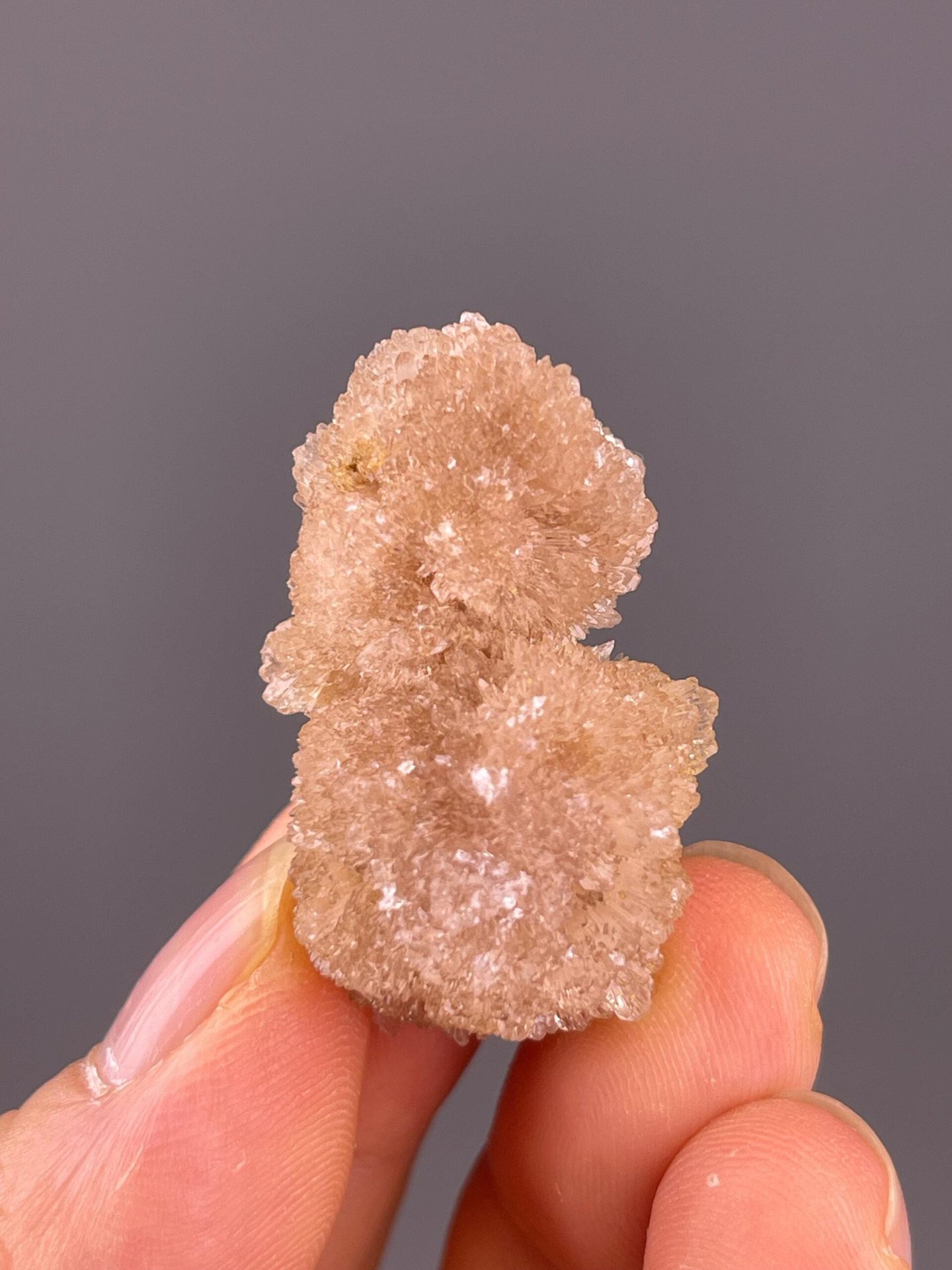 Back view of gypsum needle formation