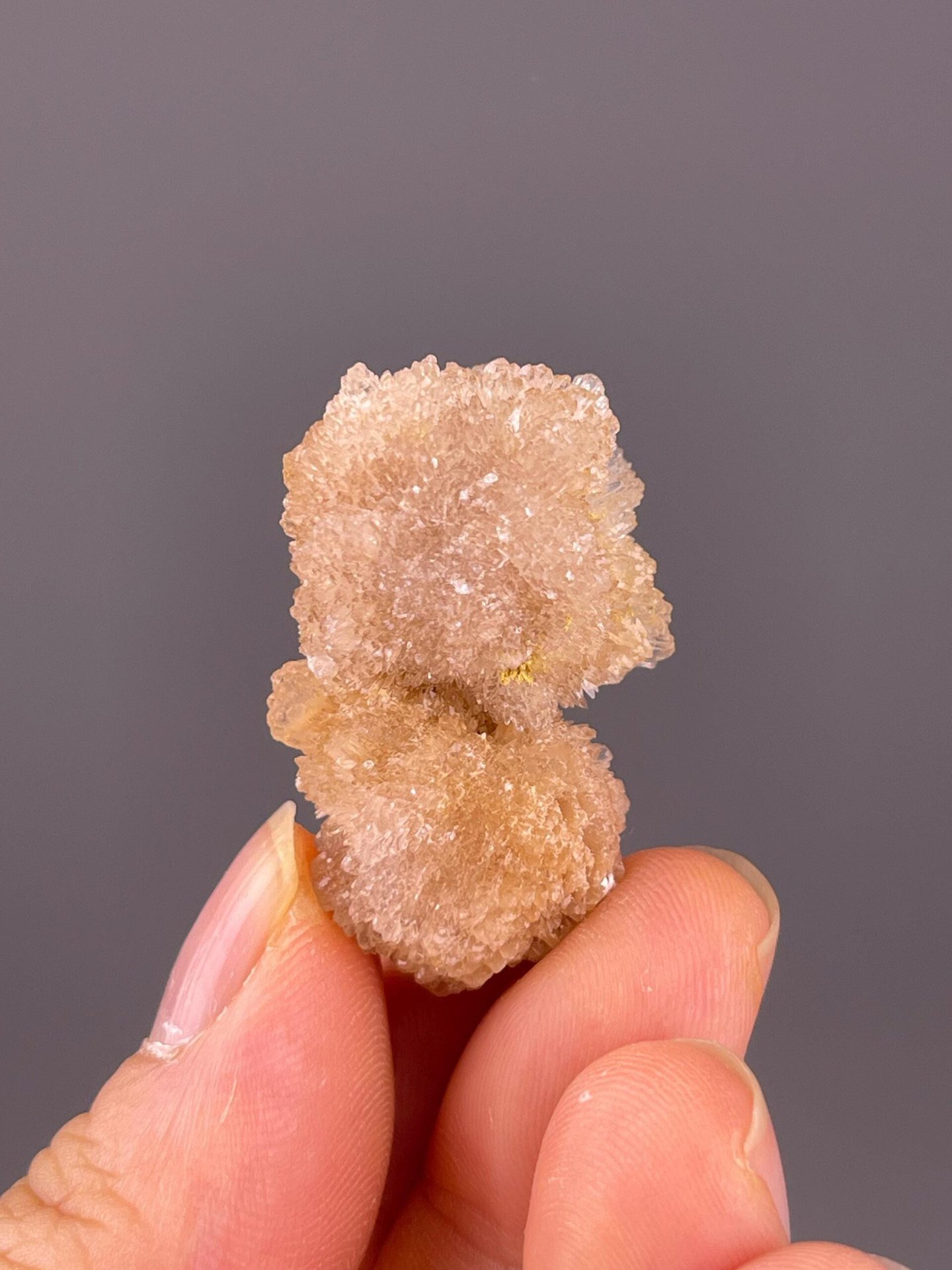 Scale reference of radiating gypsum needle cluster
