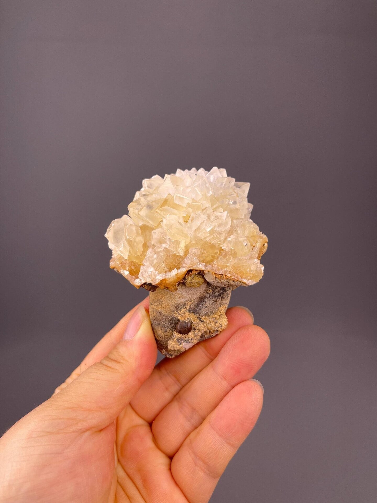Close-up of radiating bladed gypsum crystals