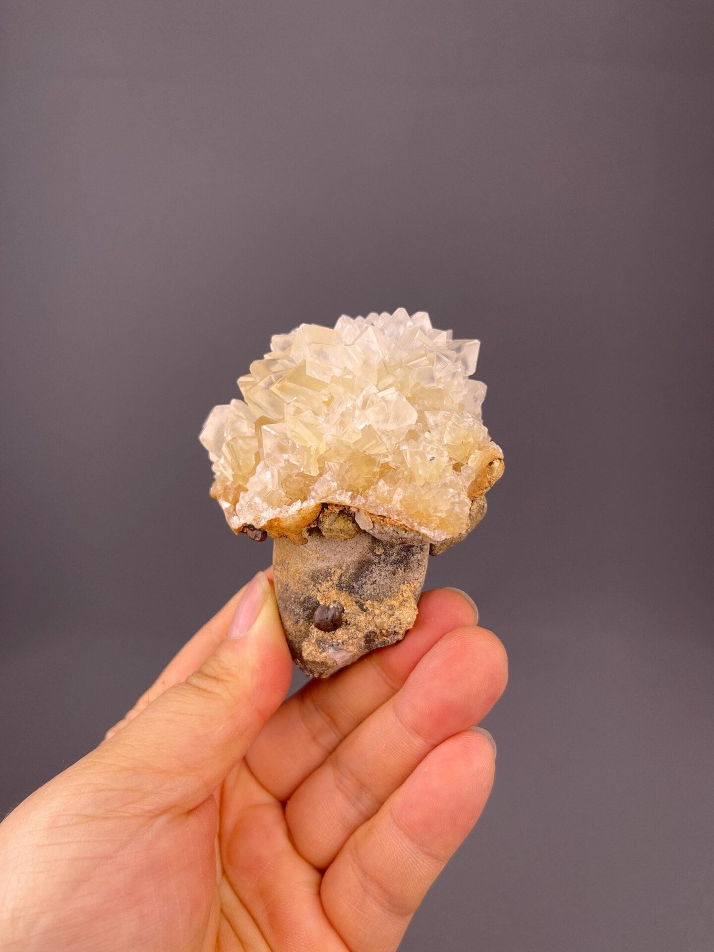 Classic gypsum rosette formation from Hubei China