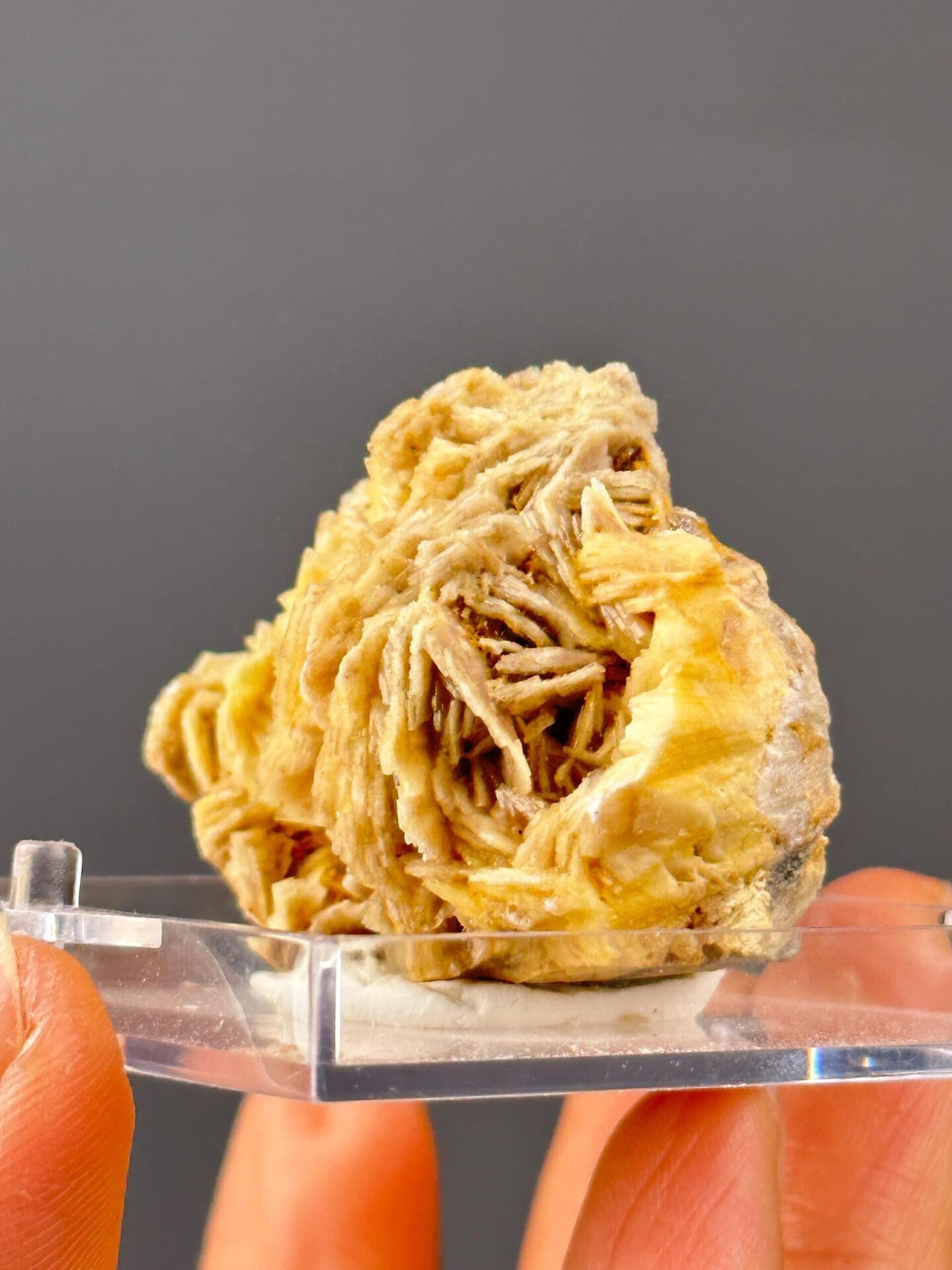Side view of golden barite cluster