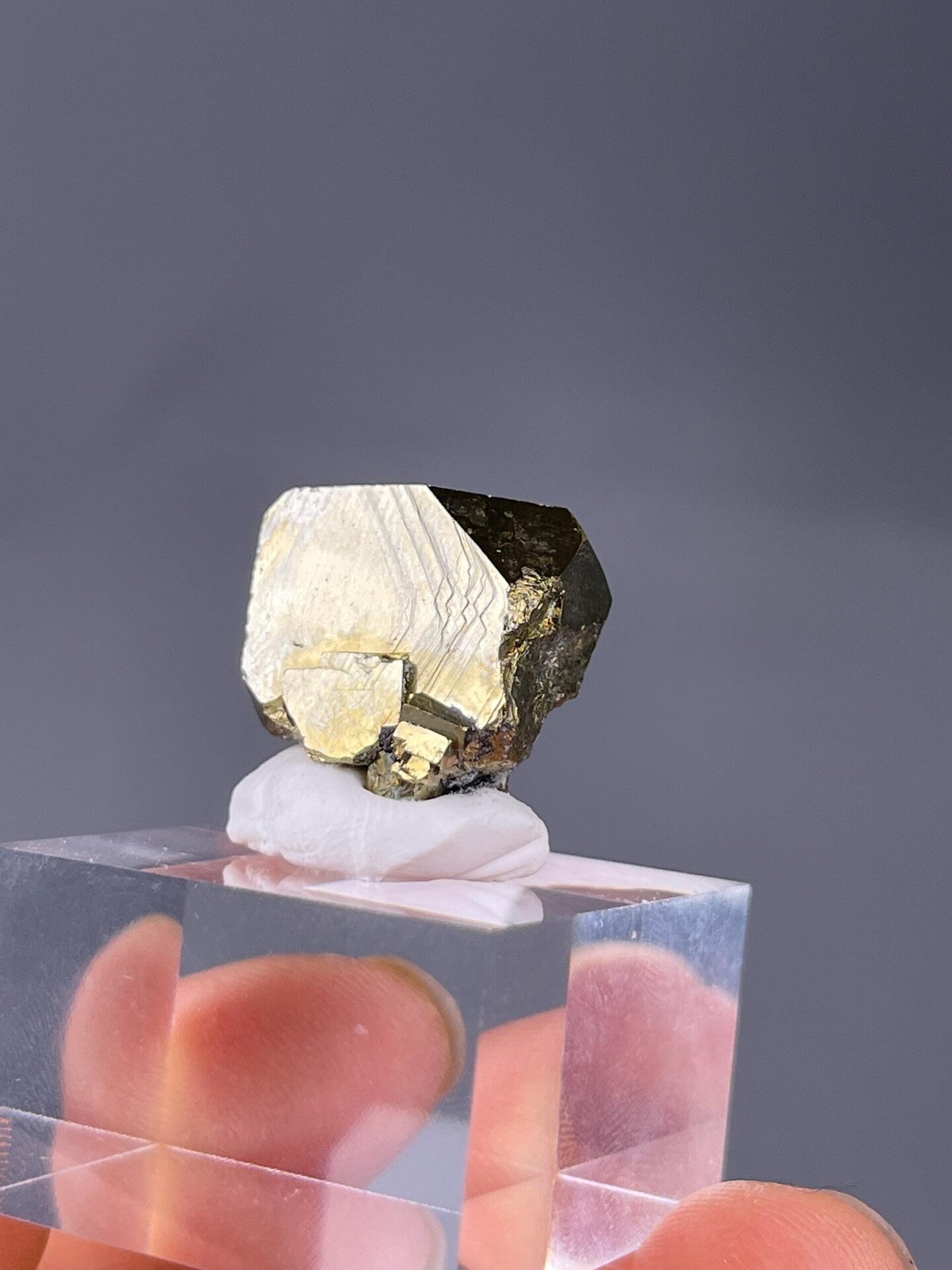 Chalcopyrite and iron mineral specimens under studio lighting
