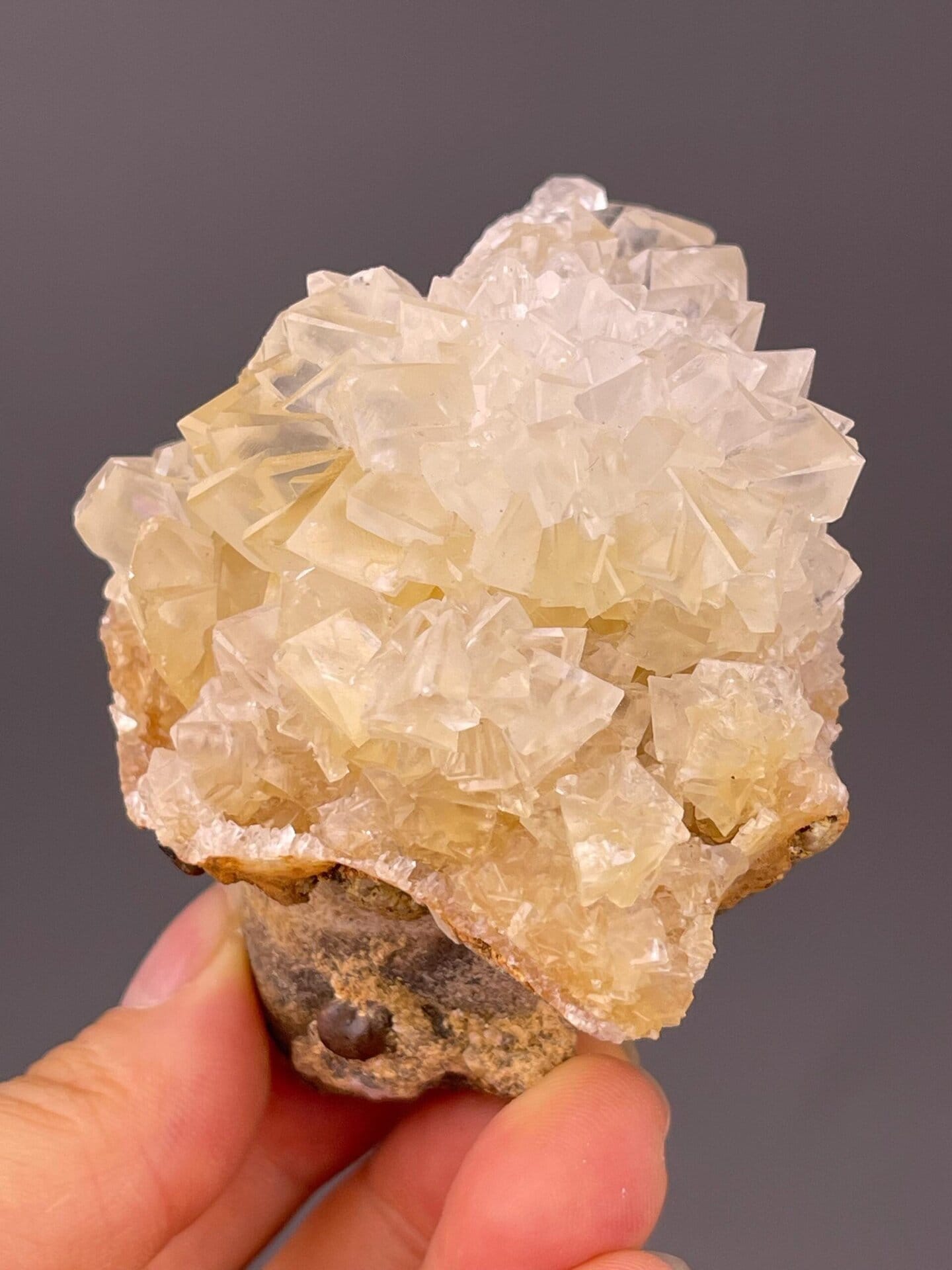 Back view of gypsum flower rosette base