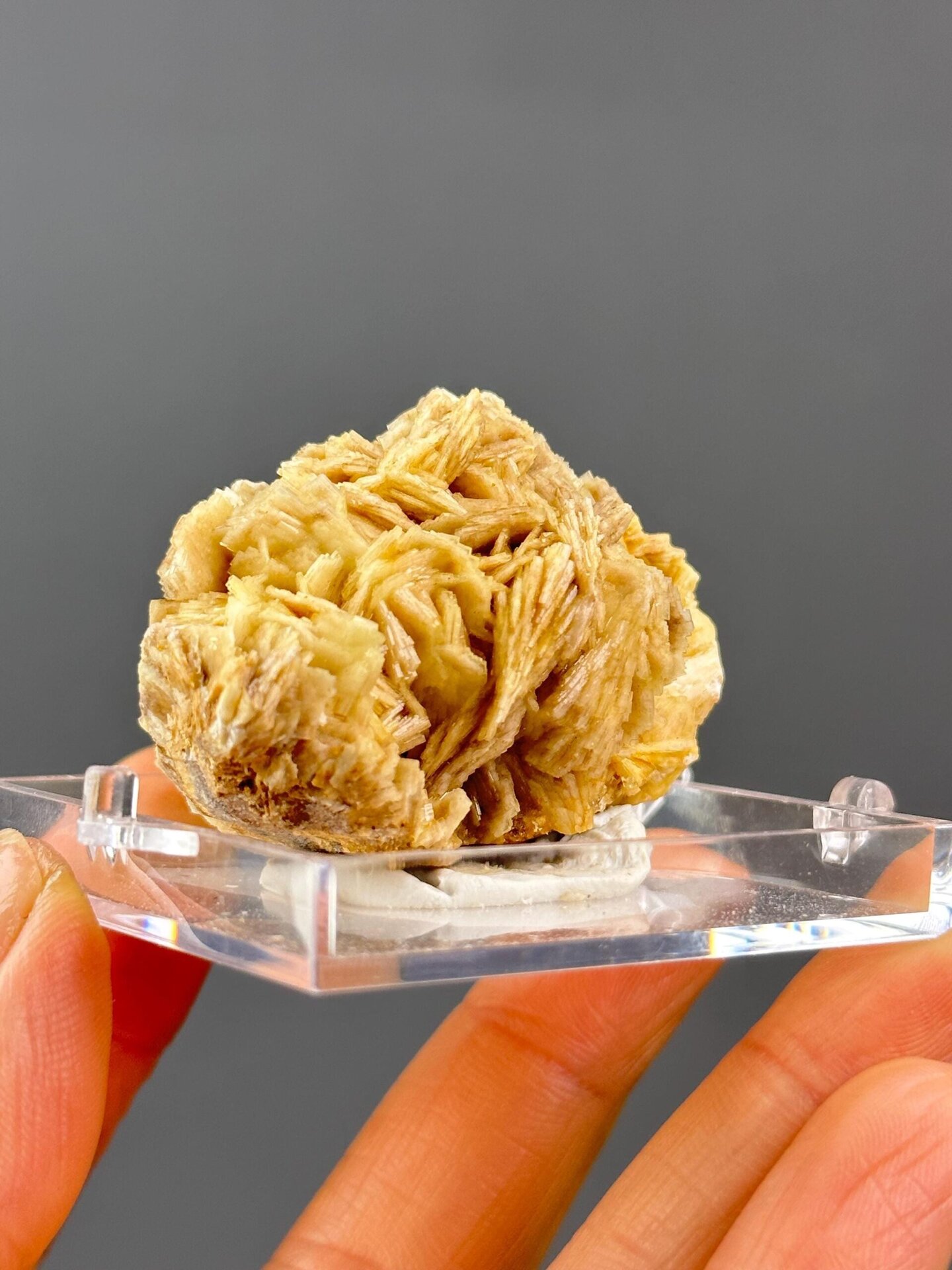 Scale reference of golden barite cluster from China