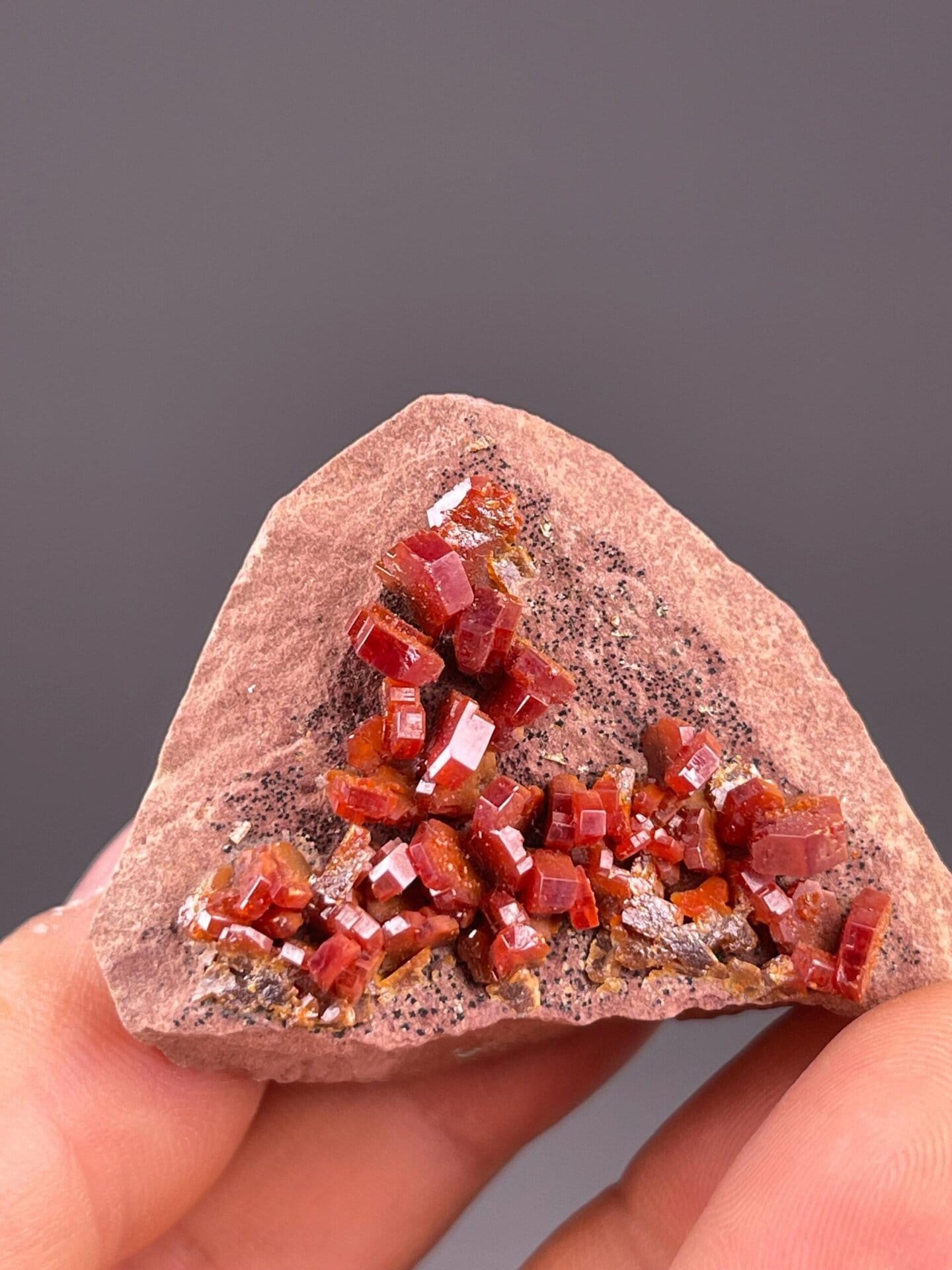 Scale reference of vanadinite crystal cluster from Mibladen