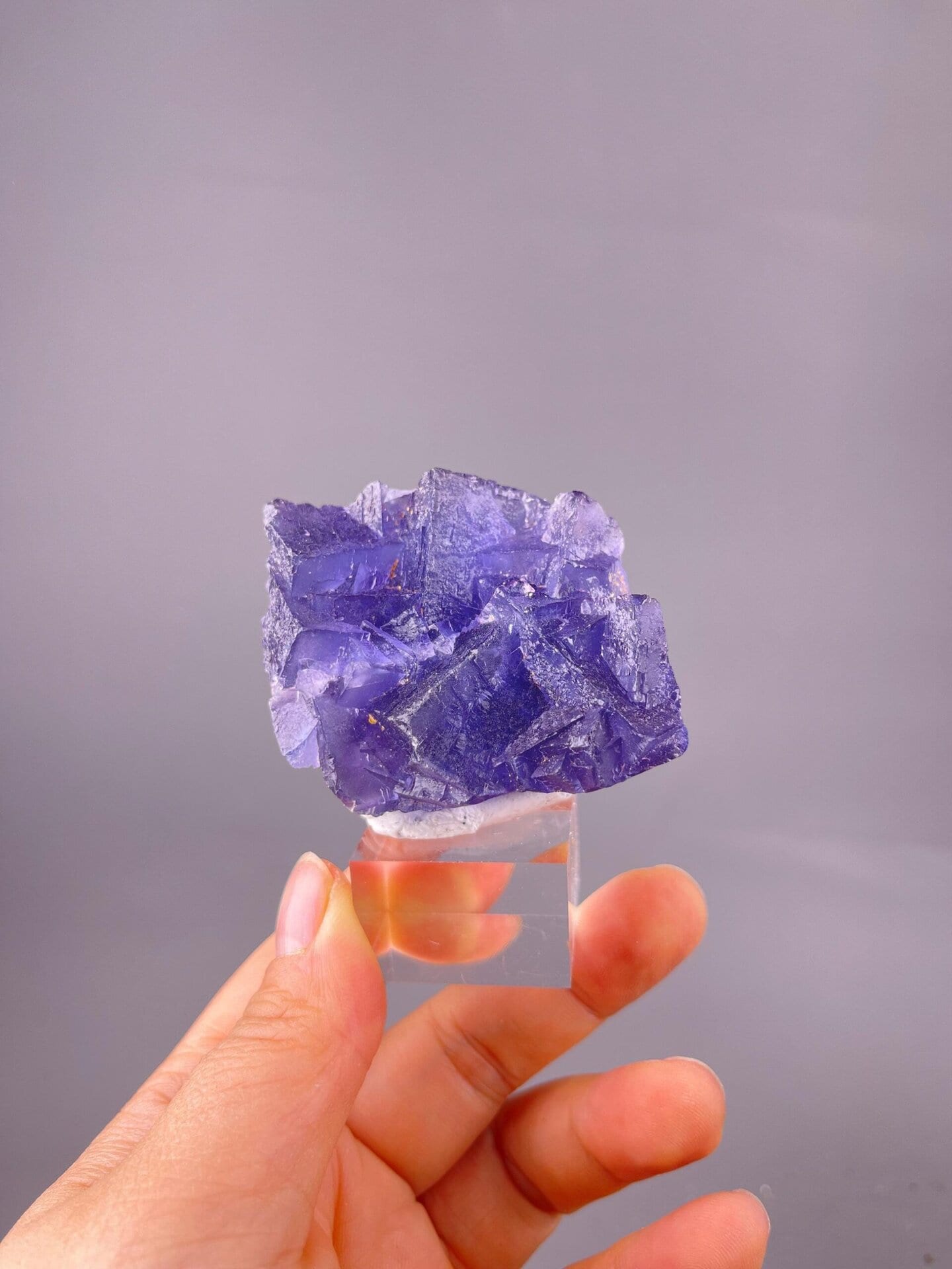 Close-up of intense purple fluorite cube faces