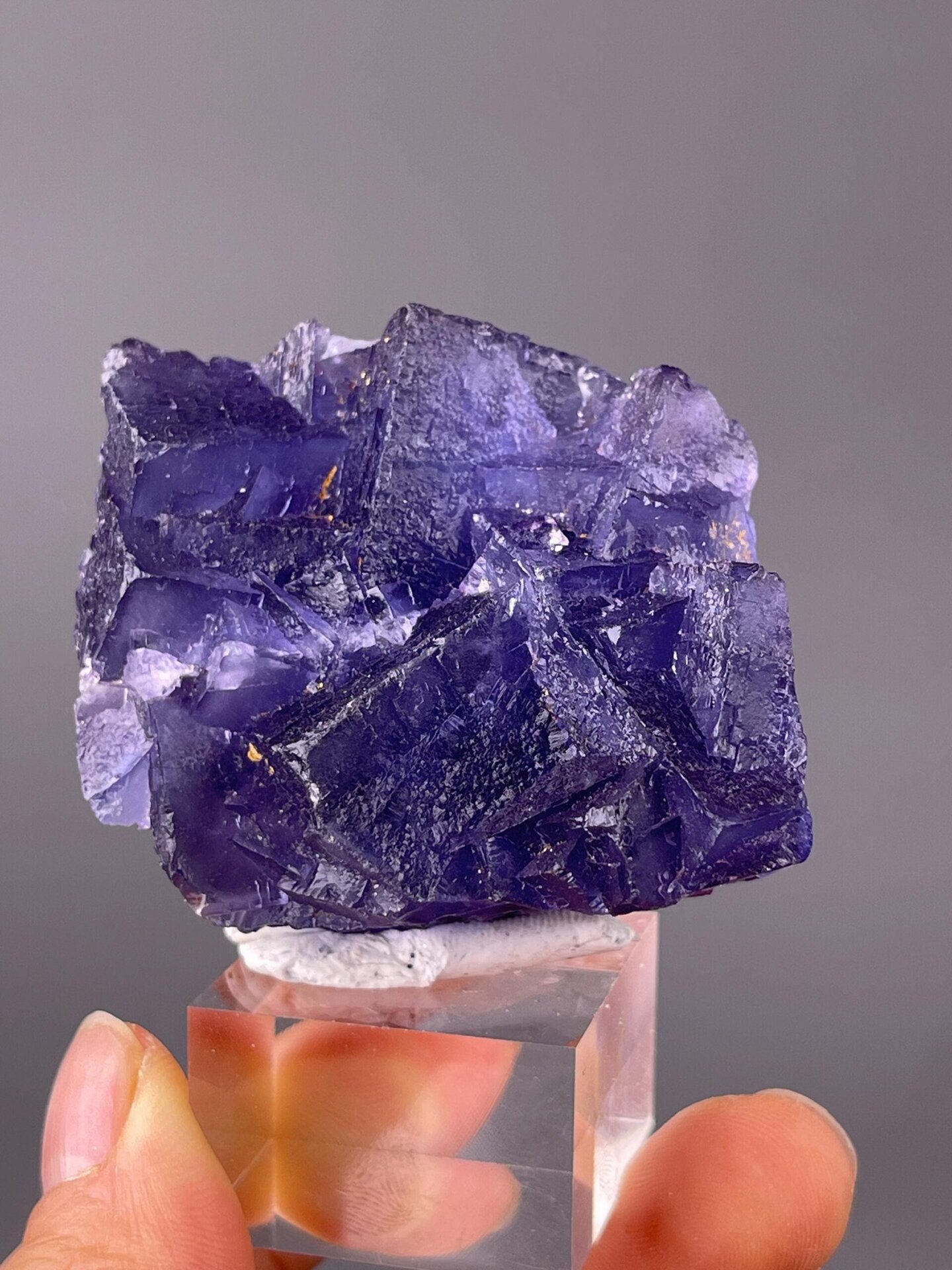 Color zoning visible in deep purple fluorite crystals
