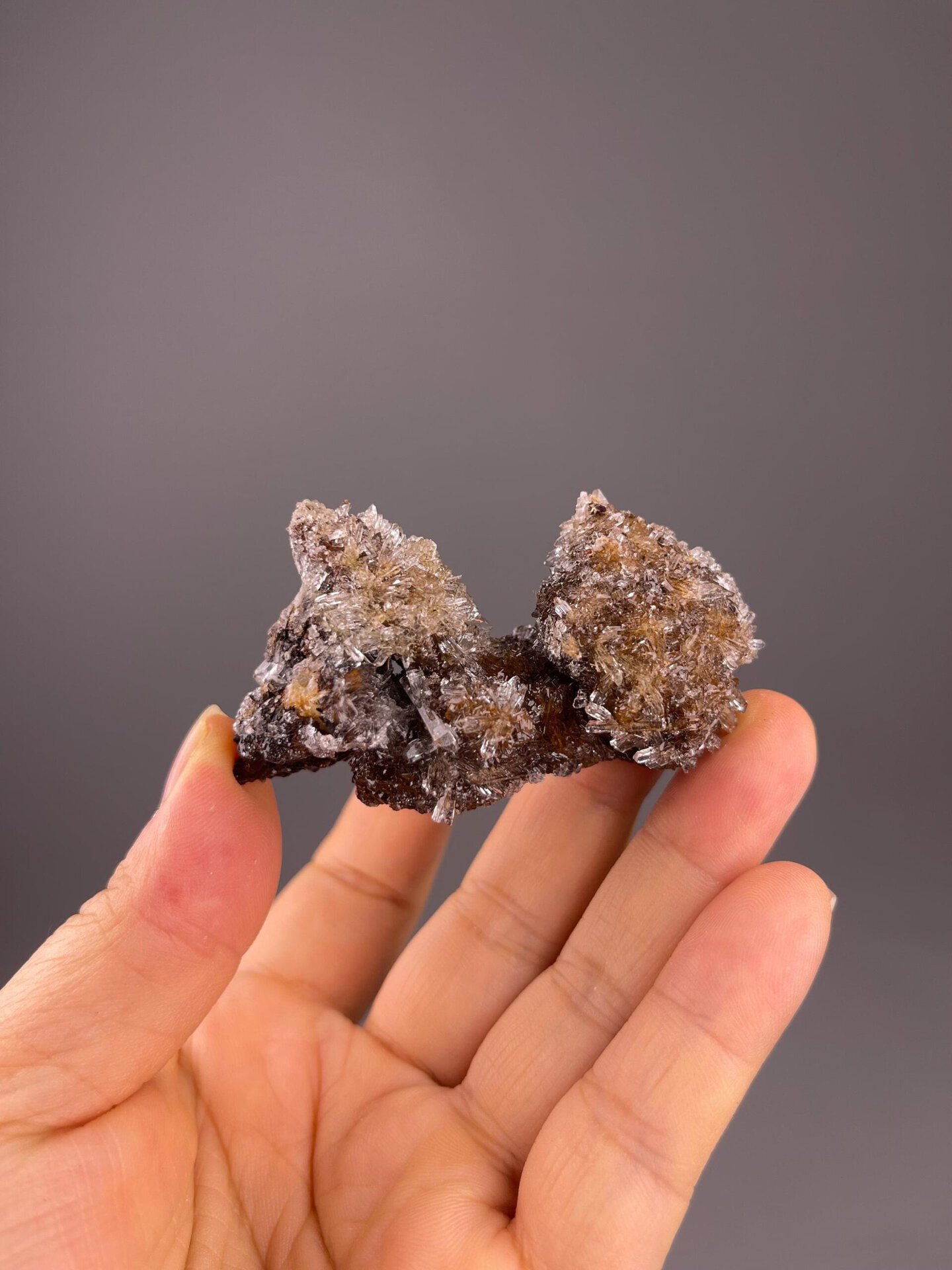 Flower-like formation of gypsum crystals
