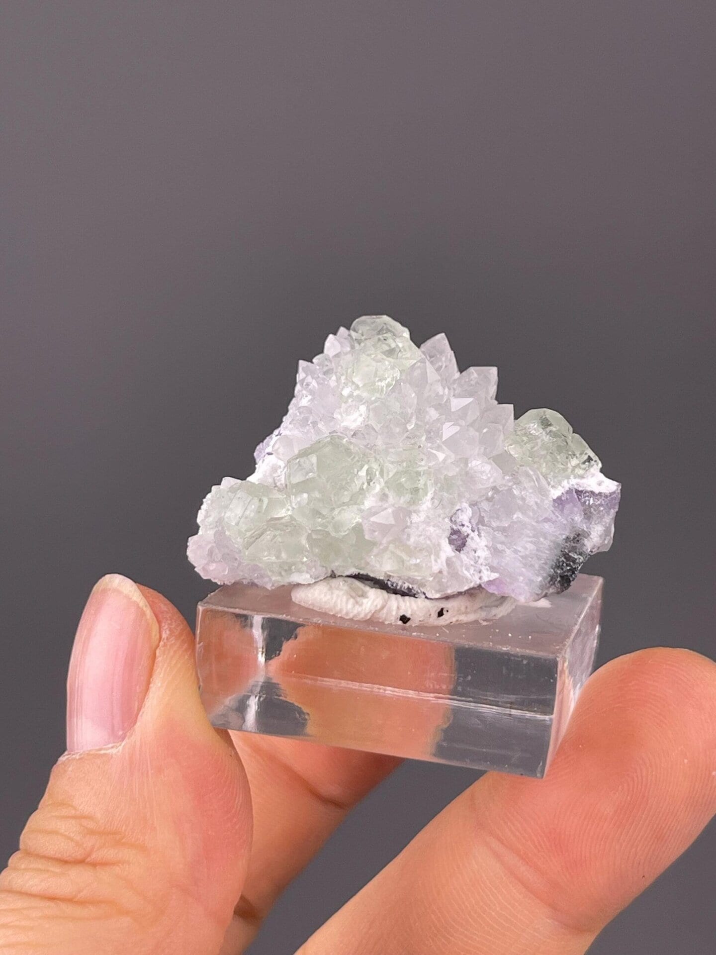 Green fluorite cubes nestled on sparkling quartz matrix