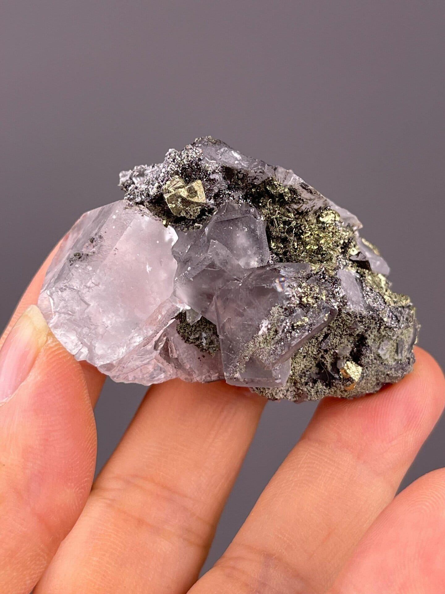 Metallic pyrite cubes contrasting with clear fluorite