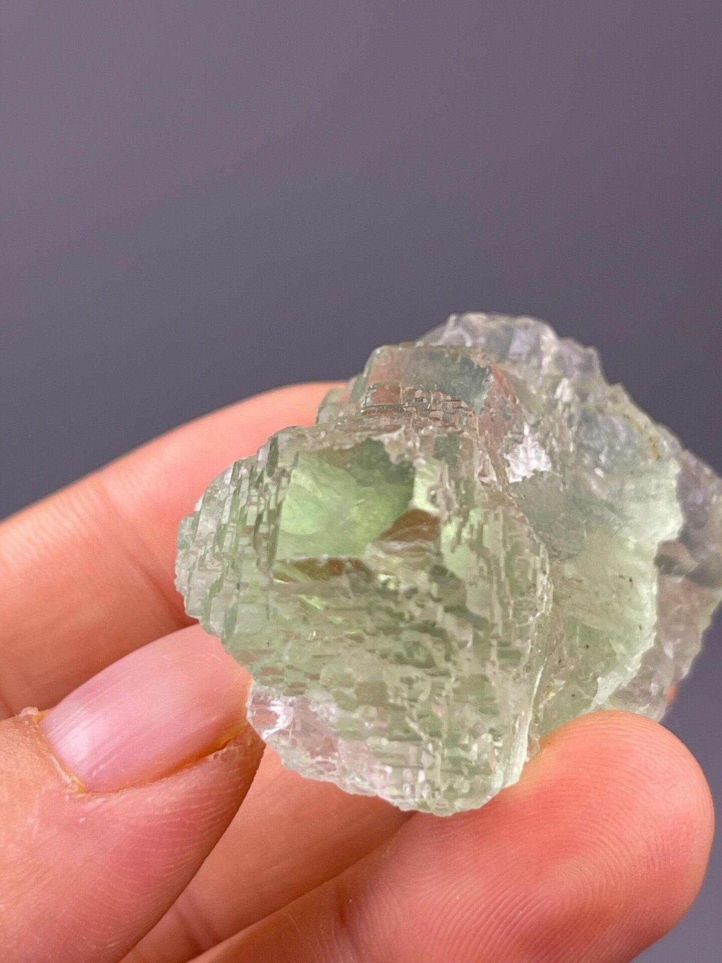 Fujian sugar-coated fluorite under studio lighting