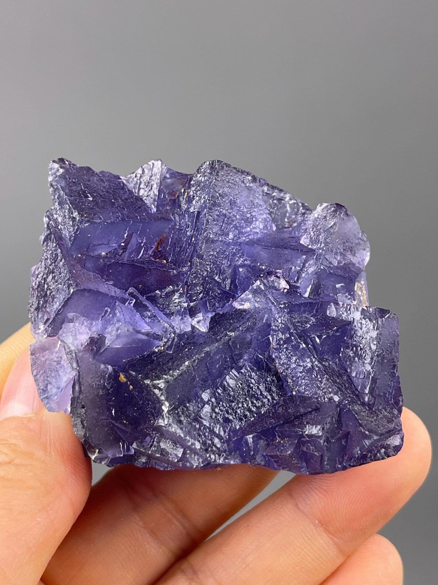 Scale reference of deep purple fluorite cluster from Guizhou