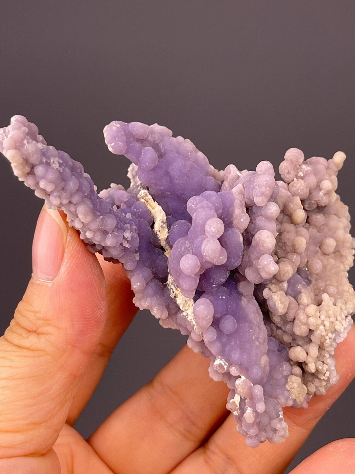 Full specimen view of Sulawesi grape agate