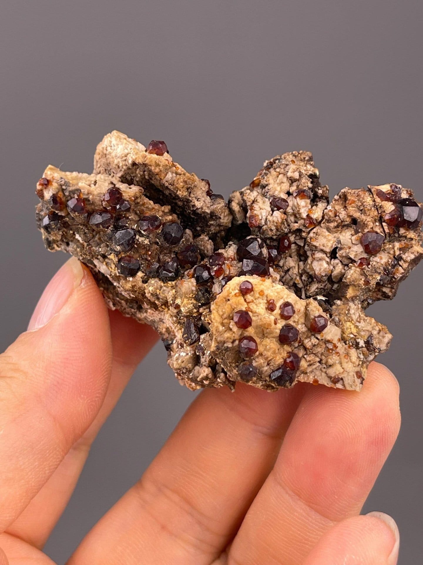 Multiple almandine garnet crystals on metamorphic matrix