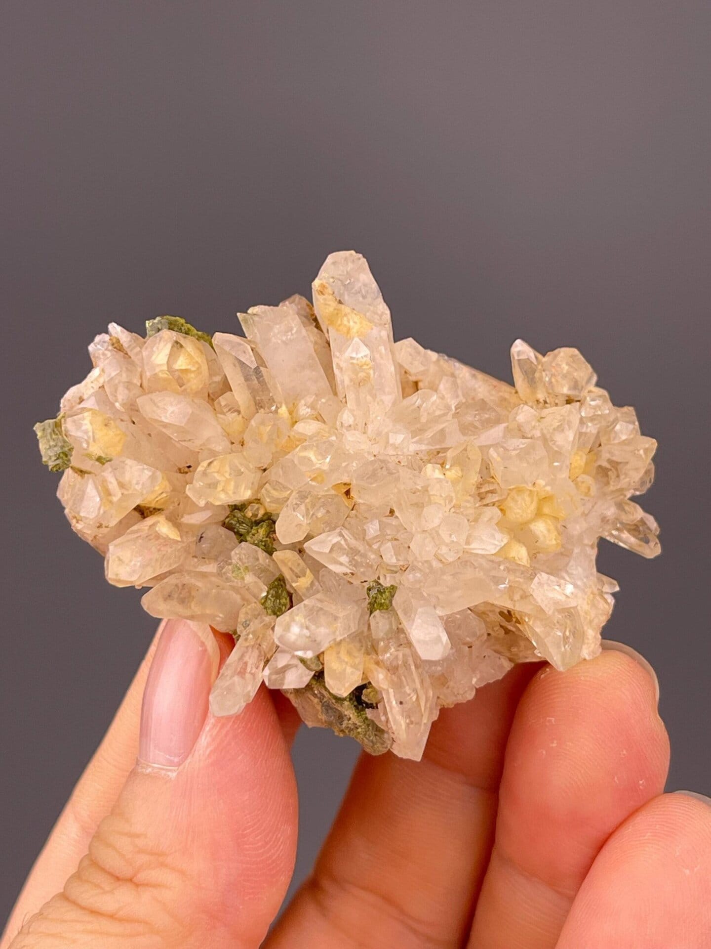 Garden quartz specimen under studio lighting