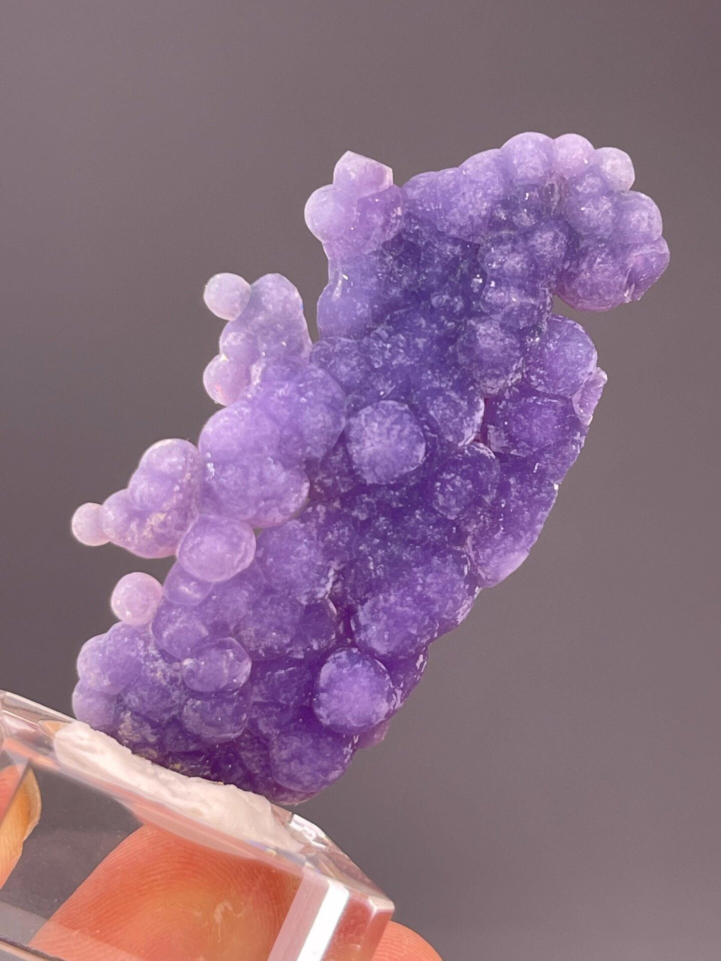 Scale reference of vivid purple grape agate specimen