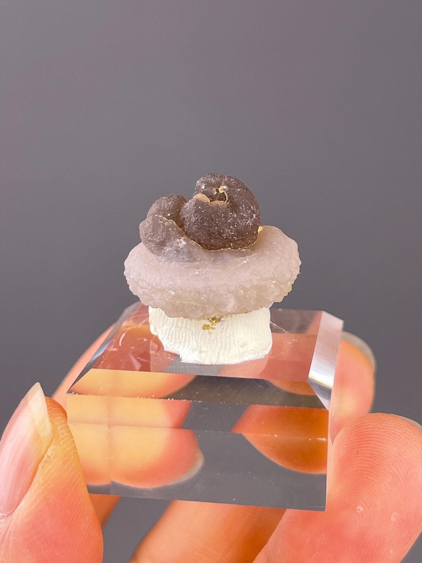 Miniature panda calcite with botryoidal black-and-white pattern from China