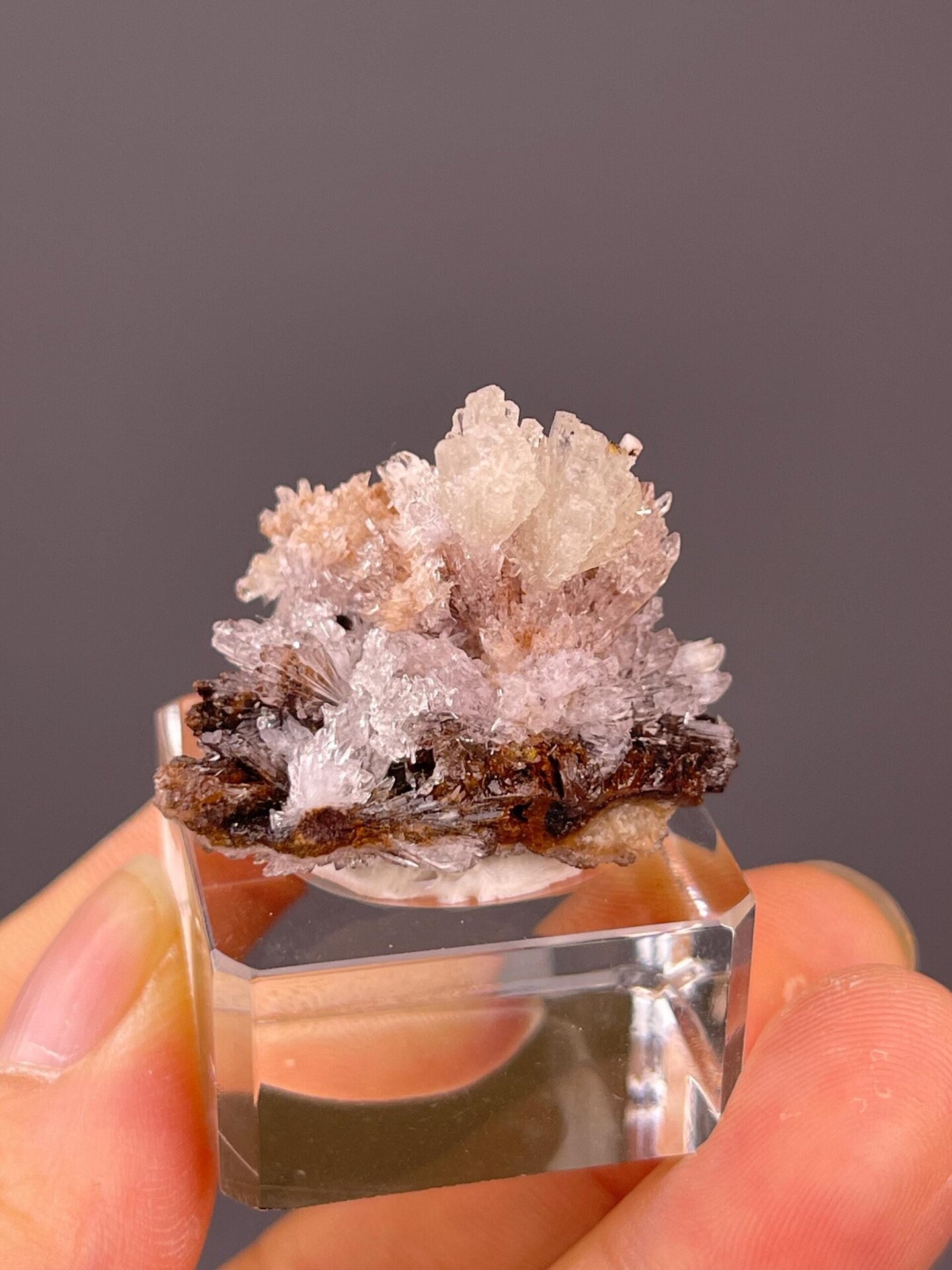 Side view of selenite flower, 2.1×1.7×0.7 in, Guizhou