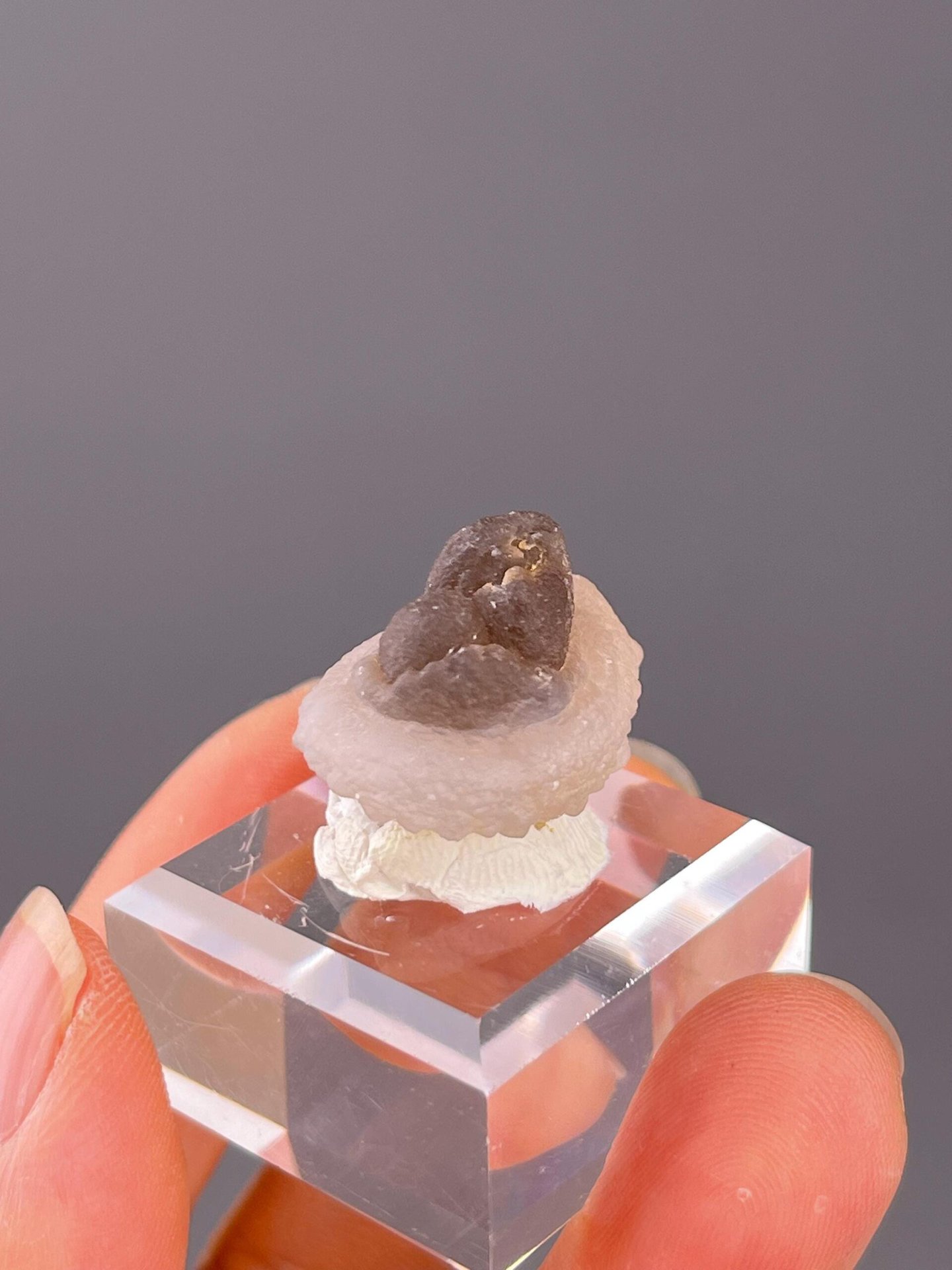 Close-up of botryoidal panda calcite surface