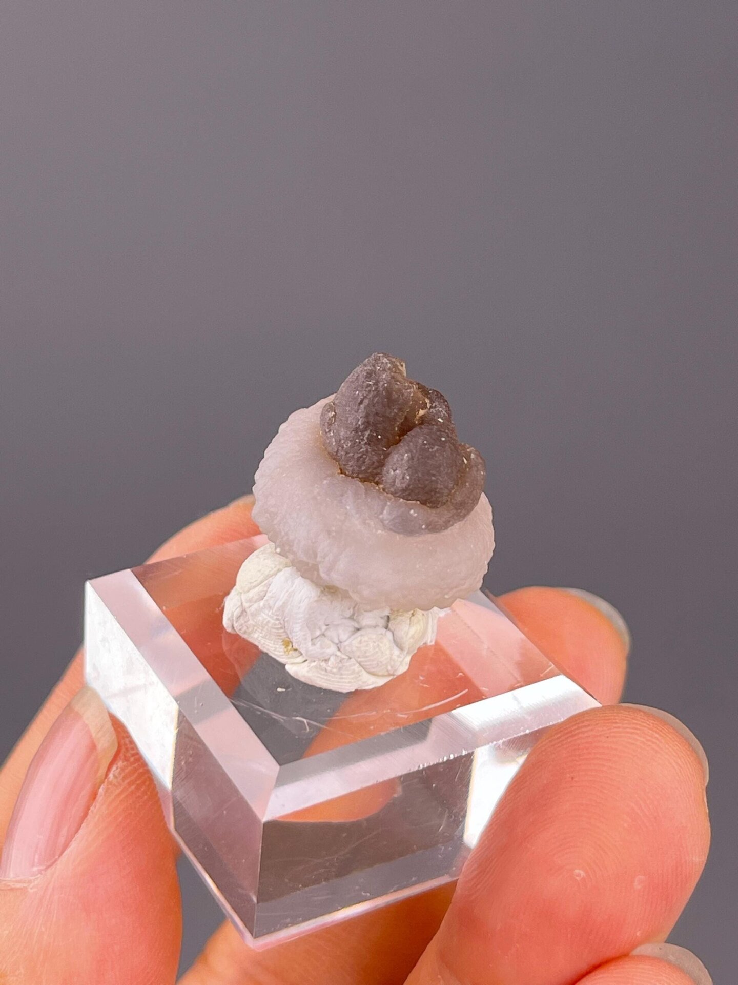 Top view of panda calcite showing black-and-white contrast