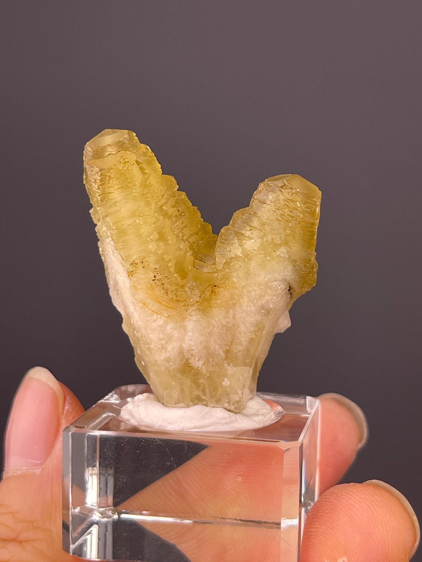 Upright twin calcite showing wing-like formation