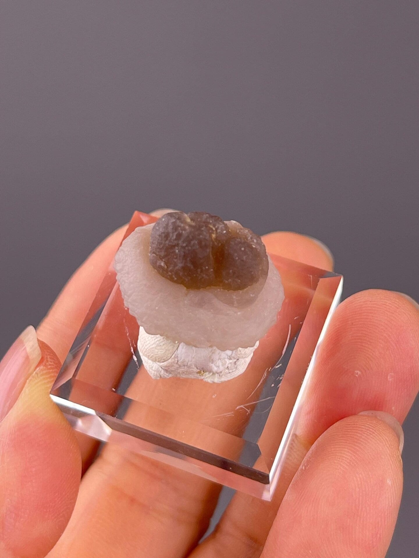 CaCO₃ trigonal calcite, Mohs 3, panda botryoidal, China, 0.18 oz