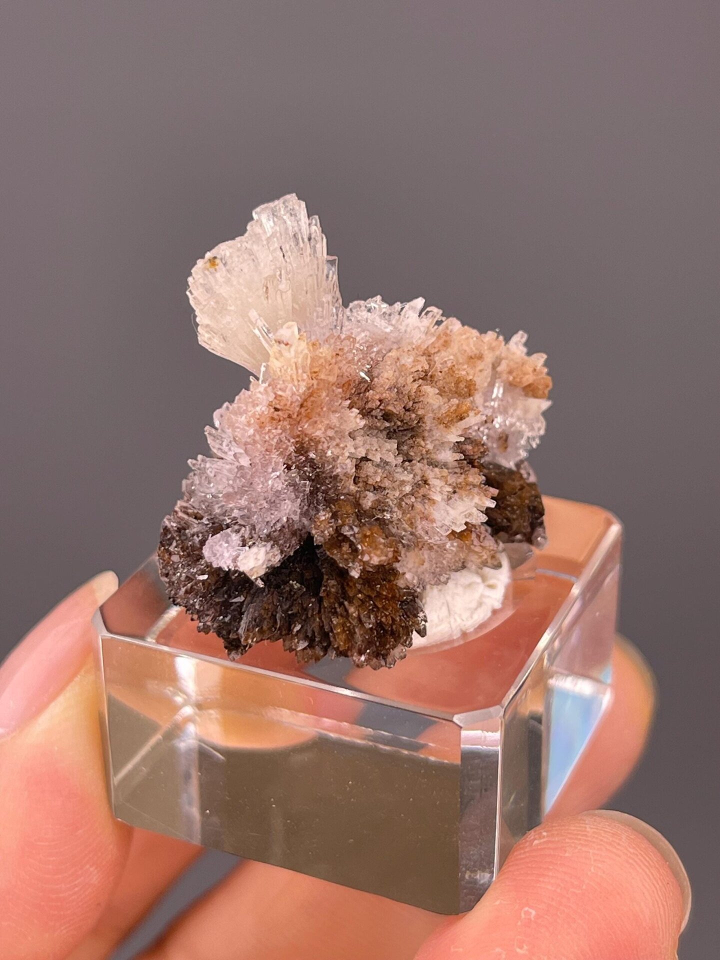 Detail of radiating selenite crystal structure
