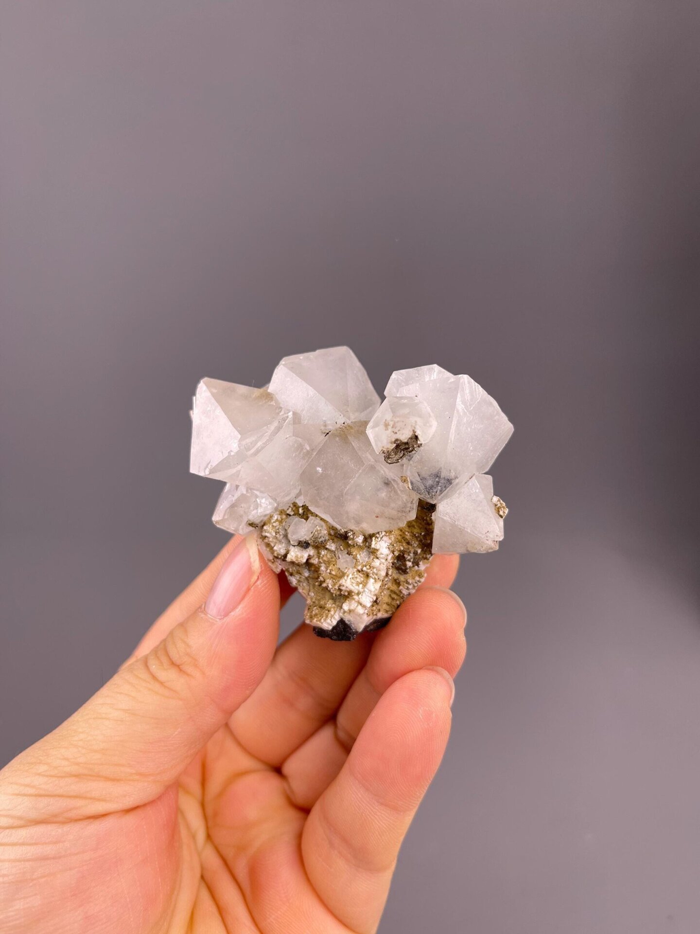 Front view of white fluorite octahedron on contrasting matrix