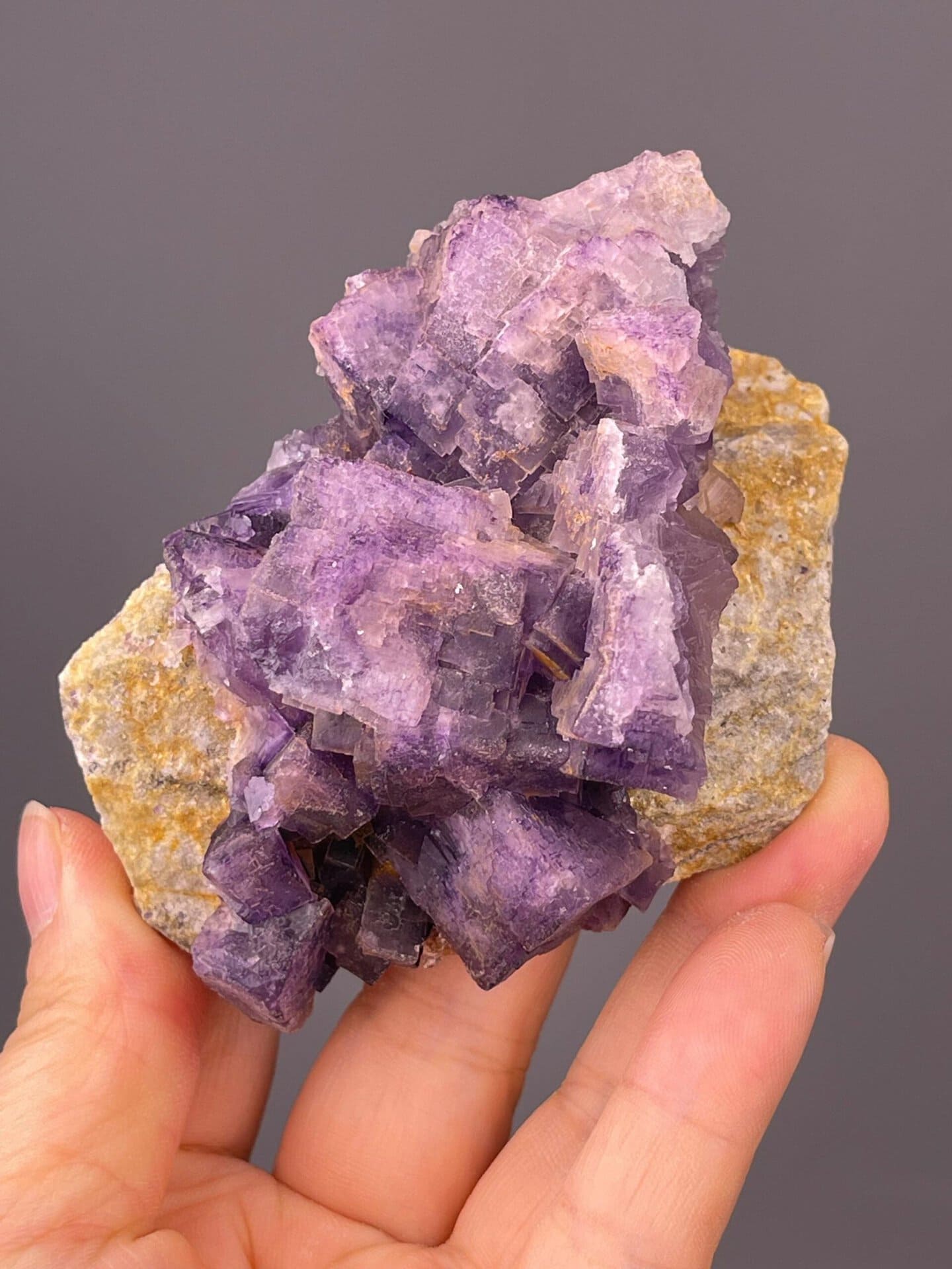 Back view of deep purple etched fluorite, Guizhou Province