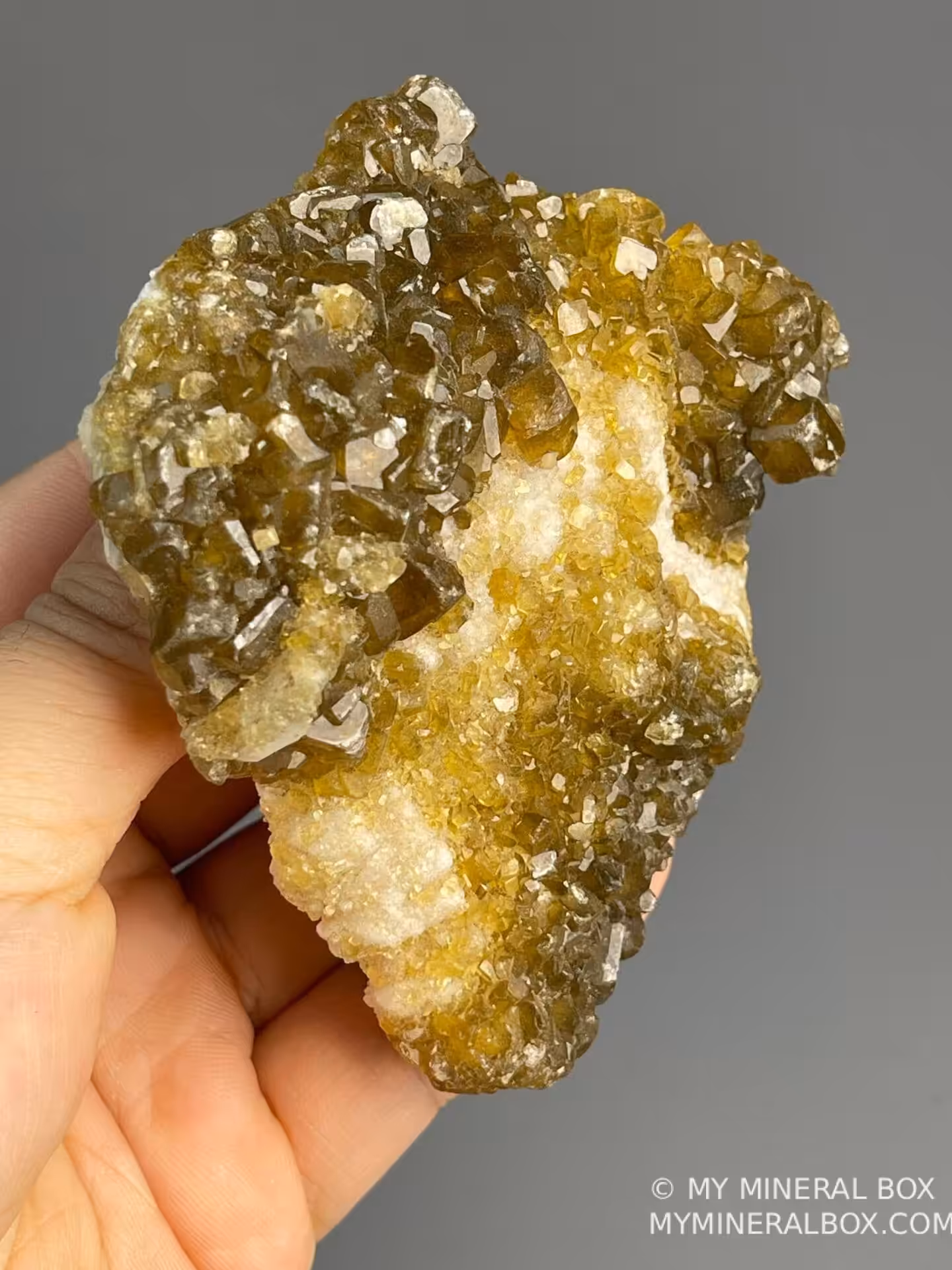 Barite orthorhombic golden crystals with calcite CaCO3