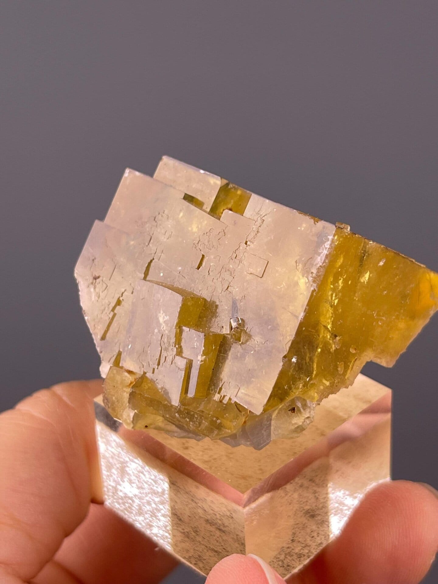 Scale view of 1.7x1.5x1.1 in fluorite twin specimen