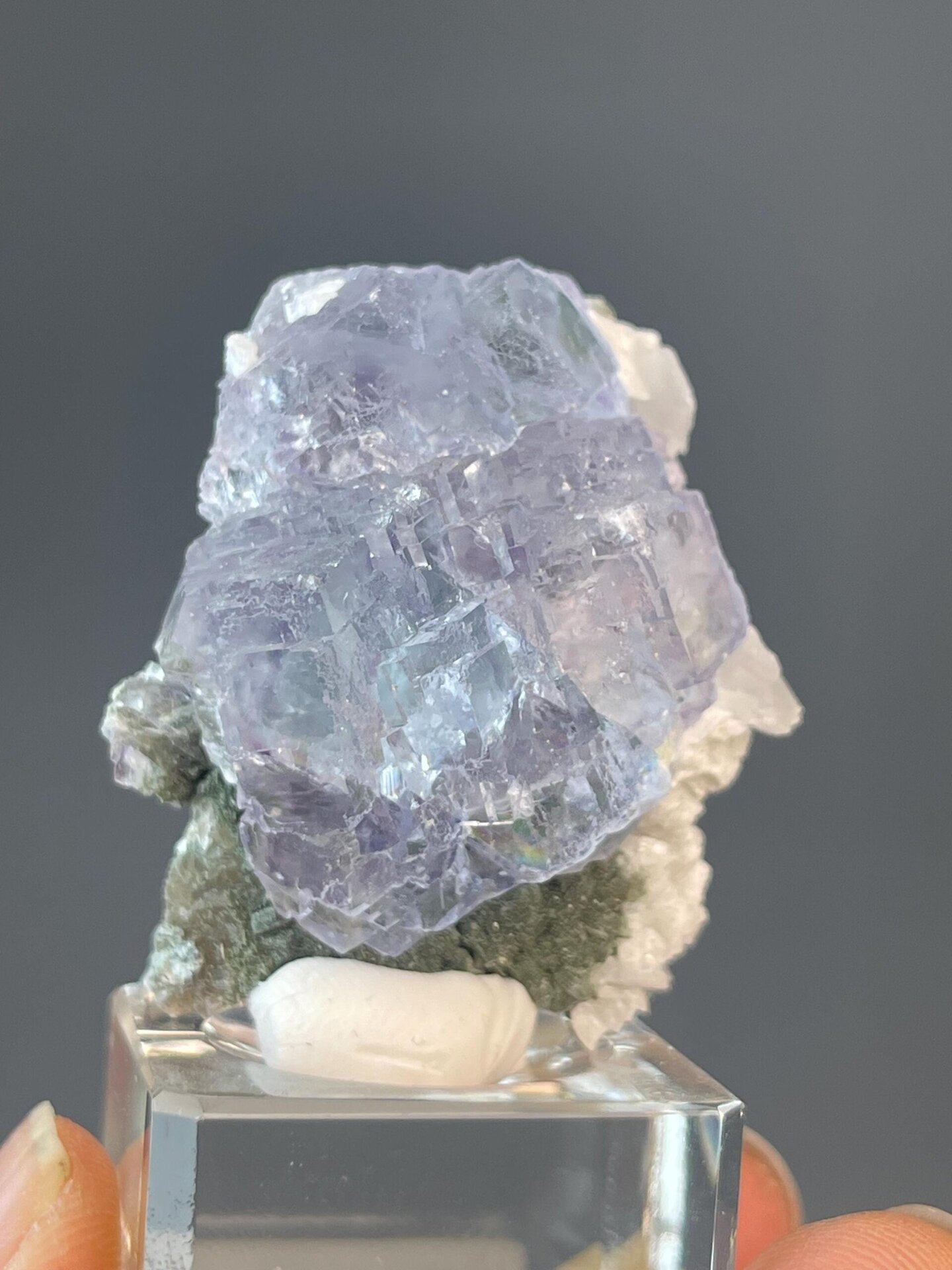 High clarity fluorite revealing blue purple phantom growth
