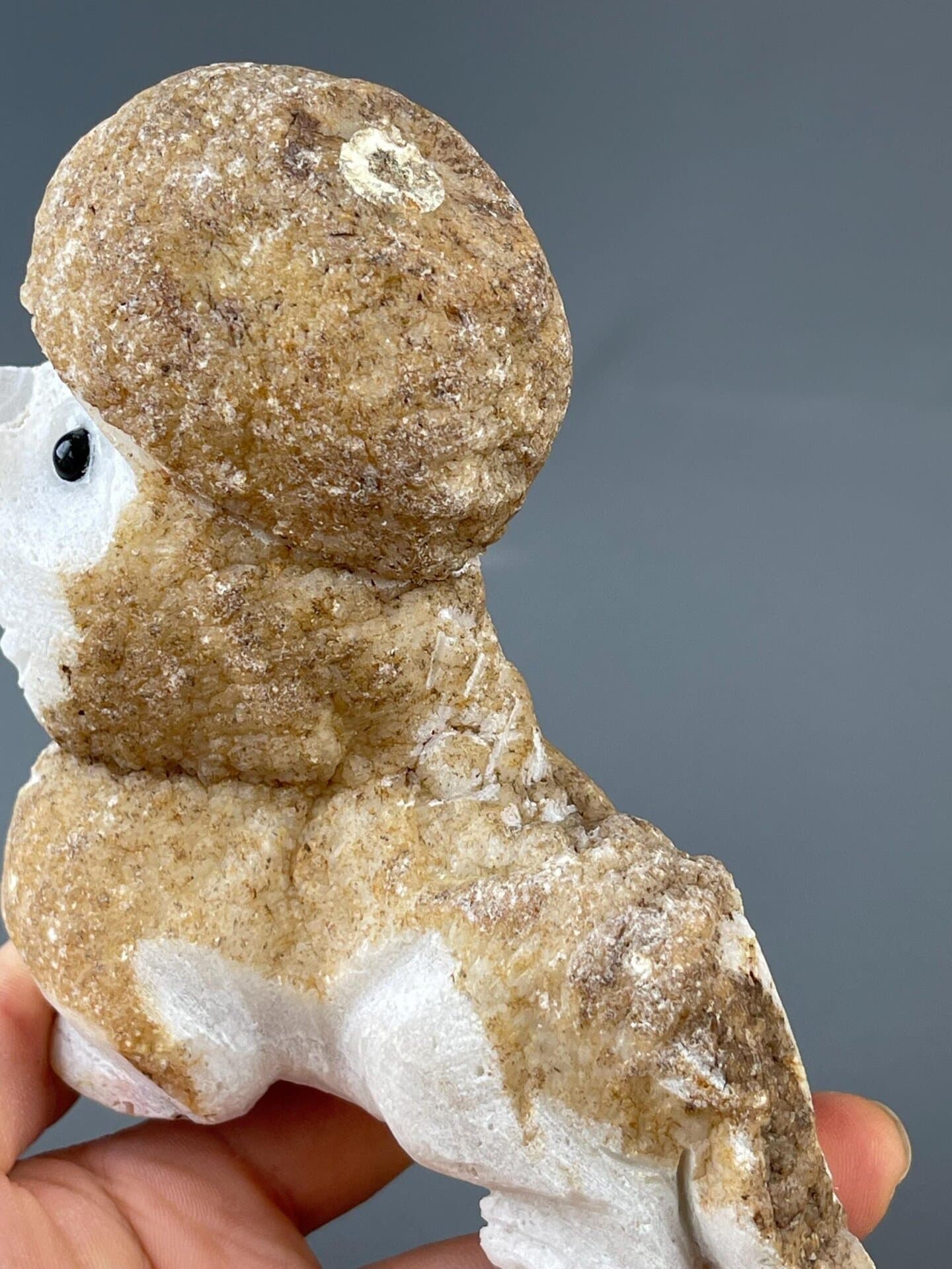 Top view of hand-carved stone poodle with onyx eyes